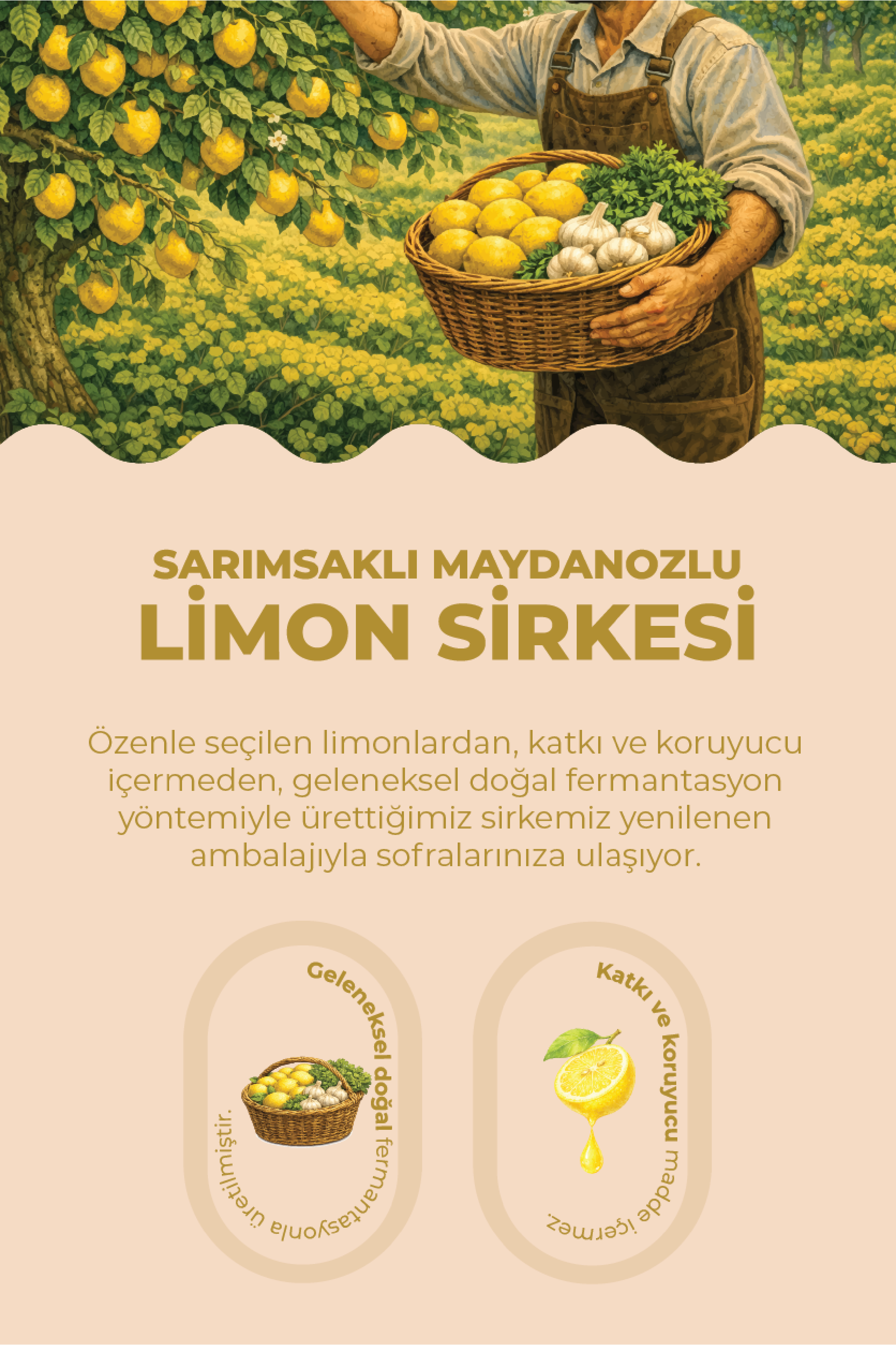 Sarımsaklı Maydanozlu Limon Sirkesi