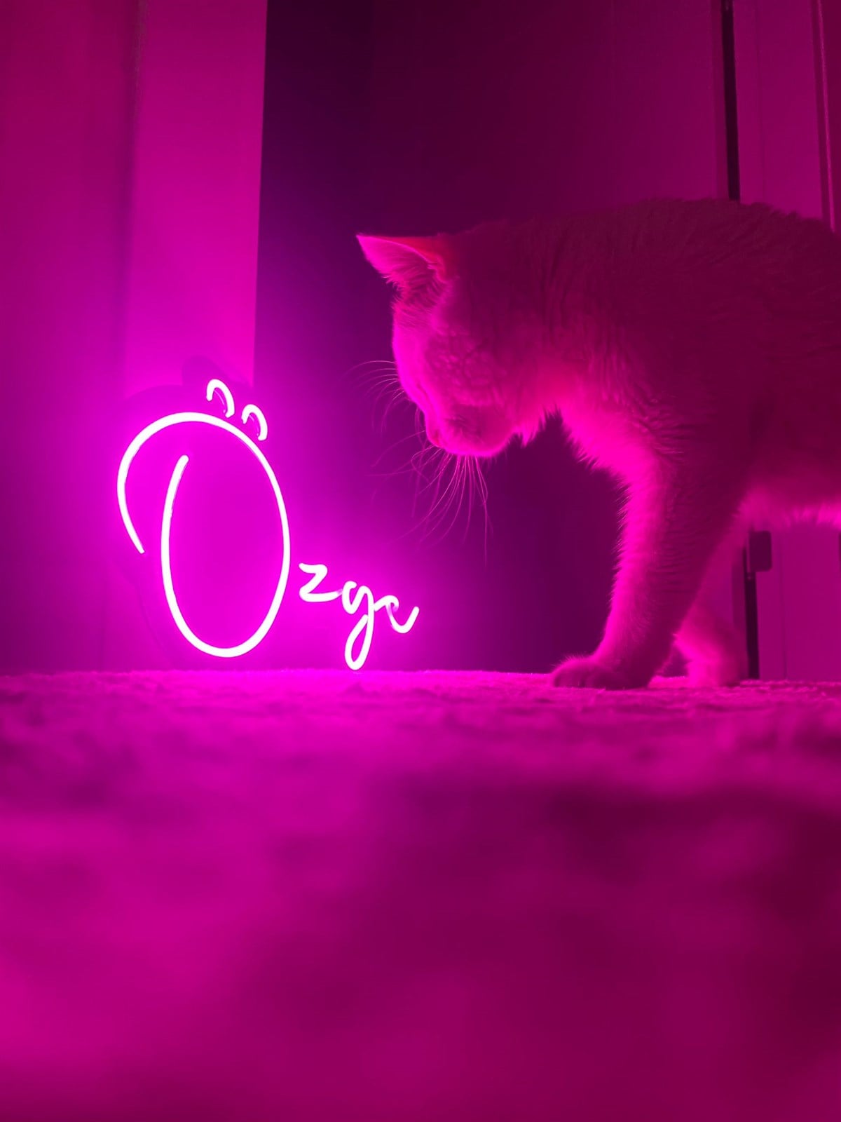 Neon Işıklı DekorIşıklı Dekor