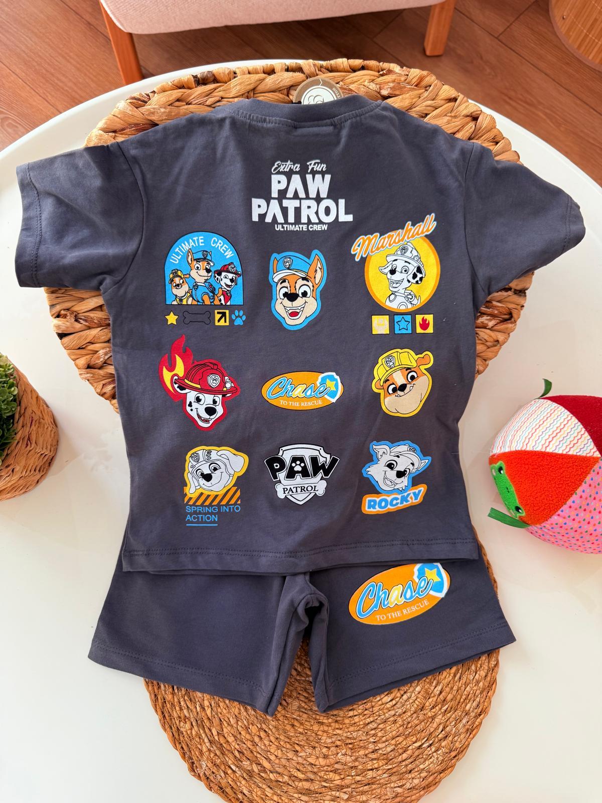 Paw patrol takım