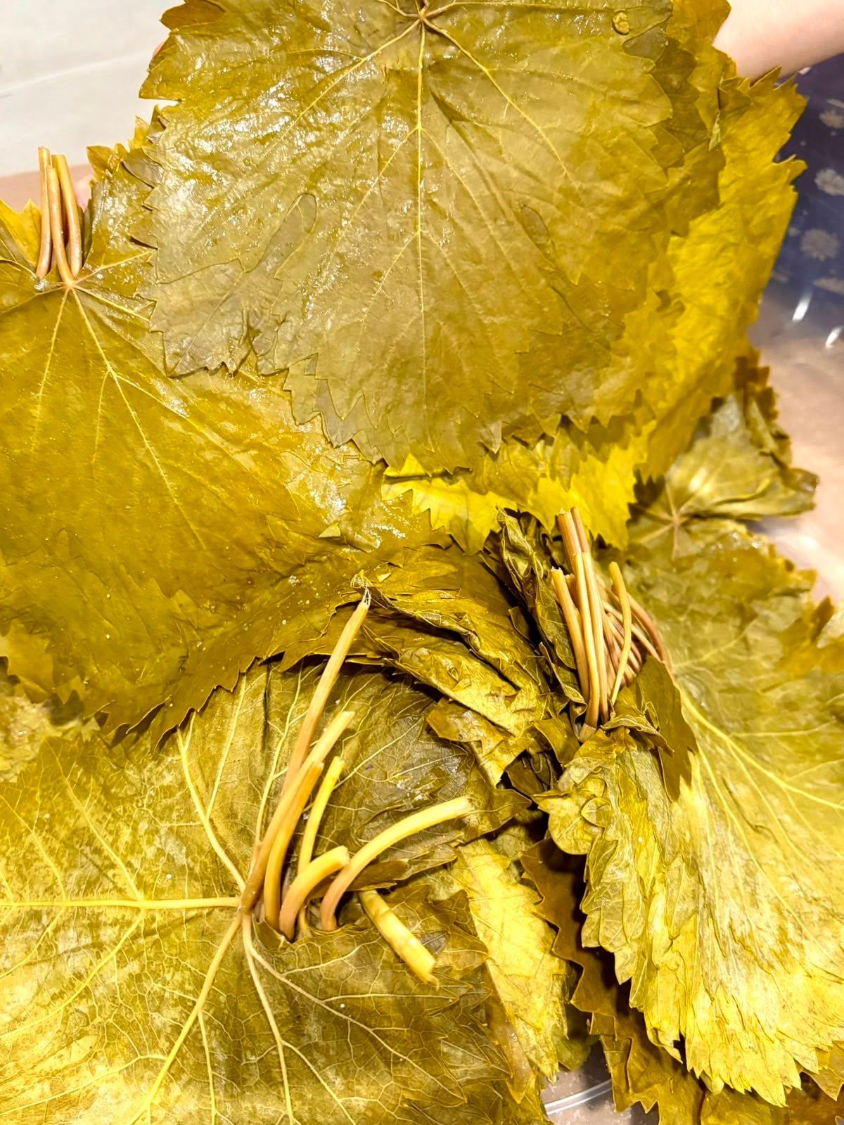  Tokat Erbaa Salamura Yaprağı 3lük bidon