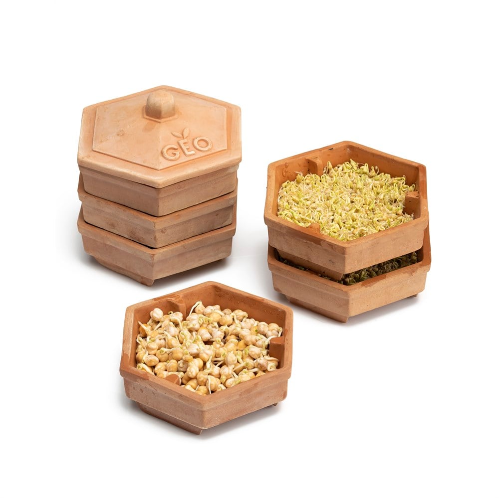 Geo Filizlendirme Aparatı - Çömlek