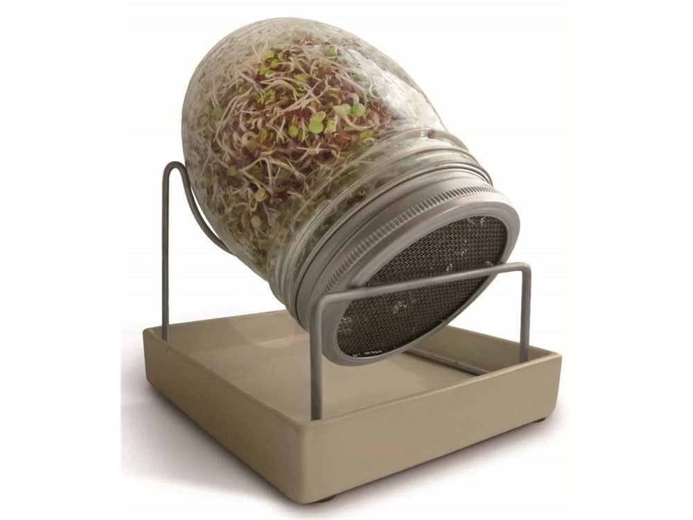 GEO Filizlendirme Kavanozu - TZZ0865