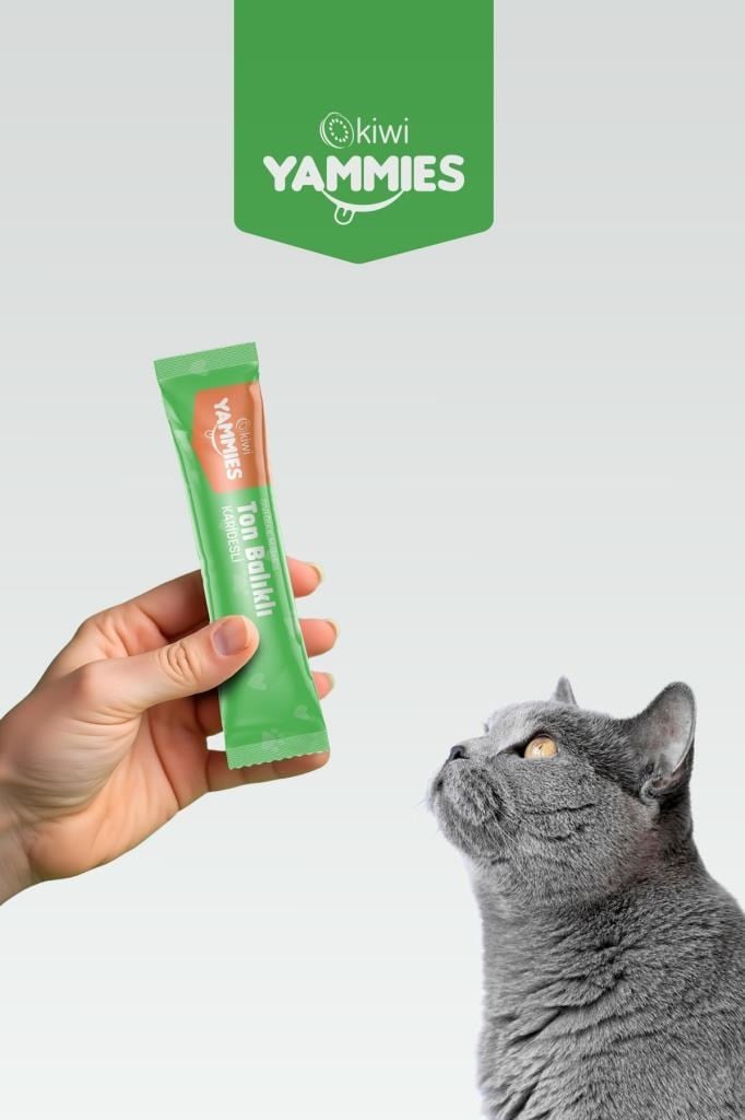 Kiwi Pets  Sıvı Kedi Ödül Maması 15 GR *60 ADET