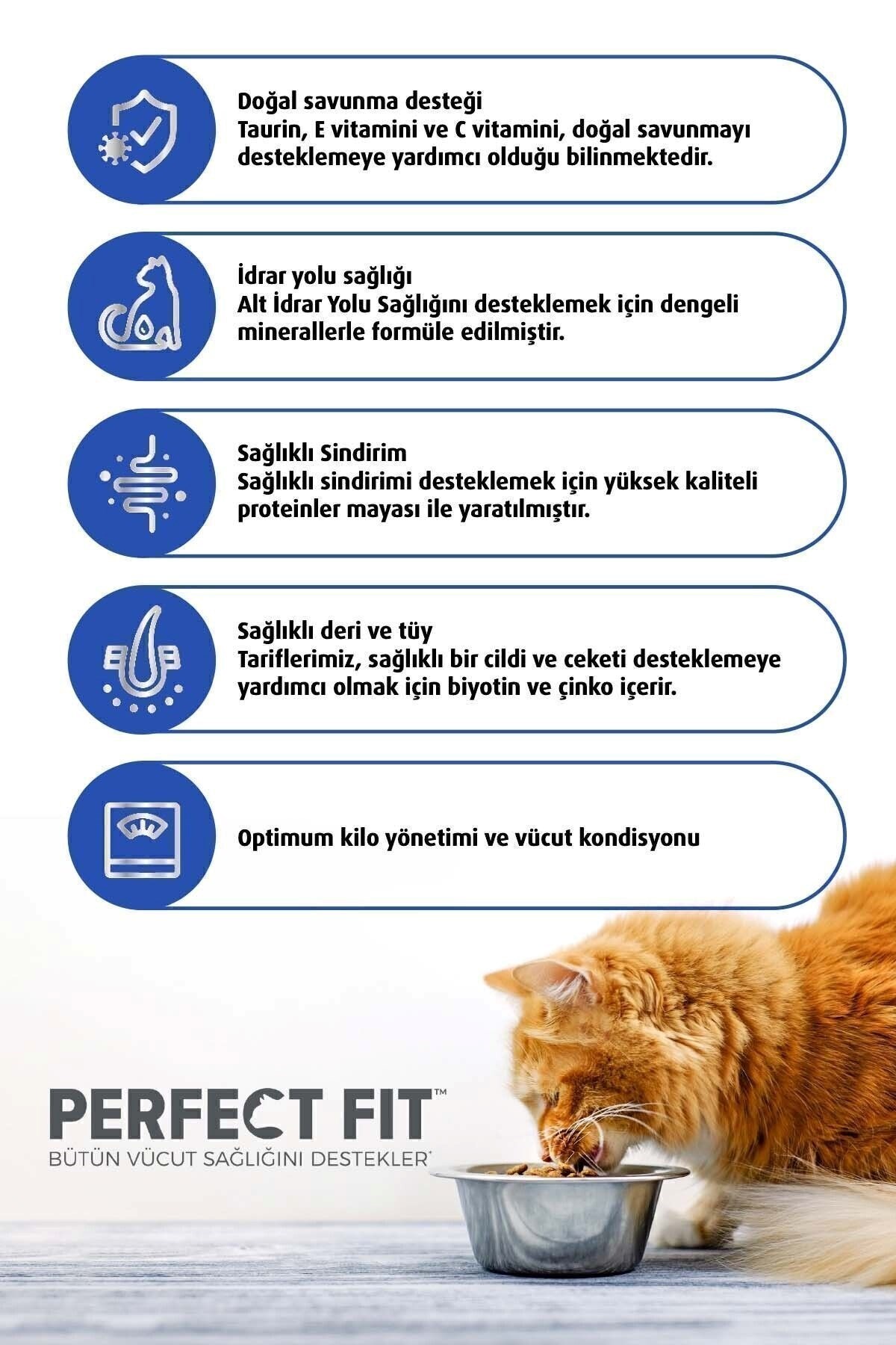 Perfect Fit Tavuklu Yavru Kedi Kedi Maması 750 gr*5 ADET