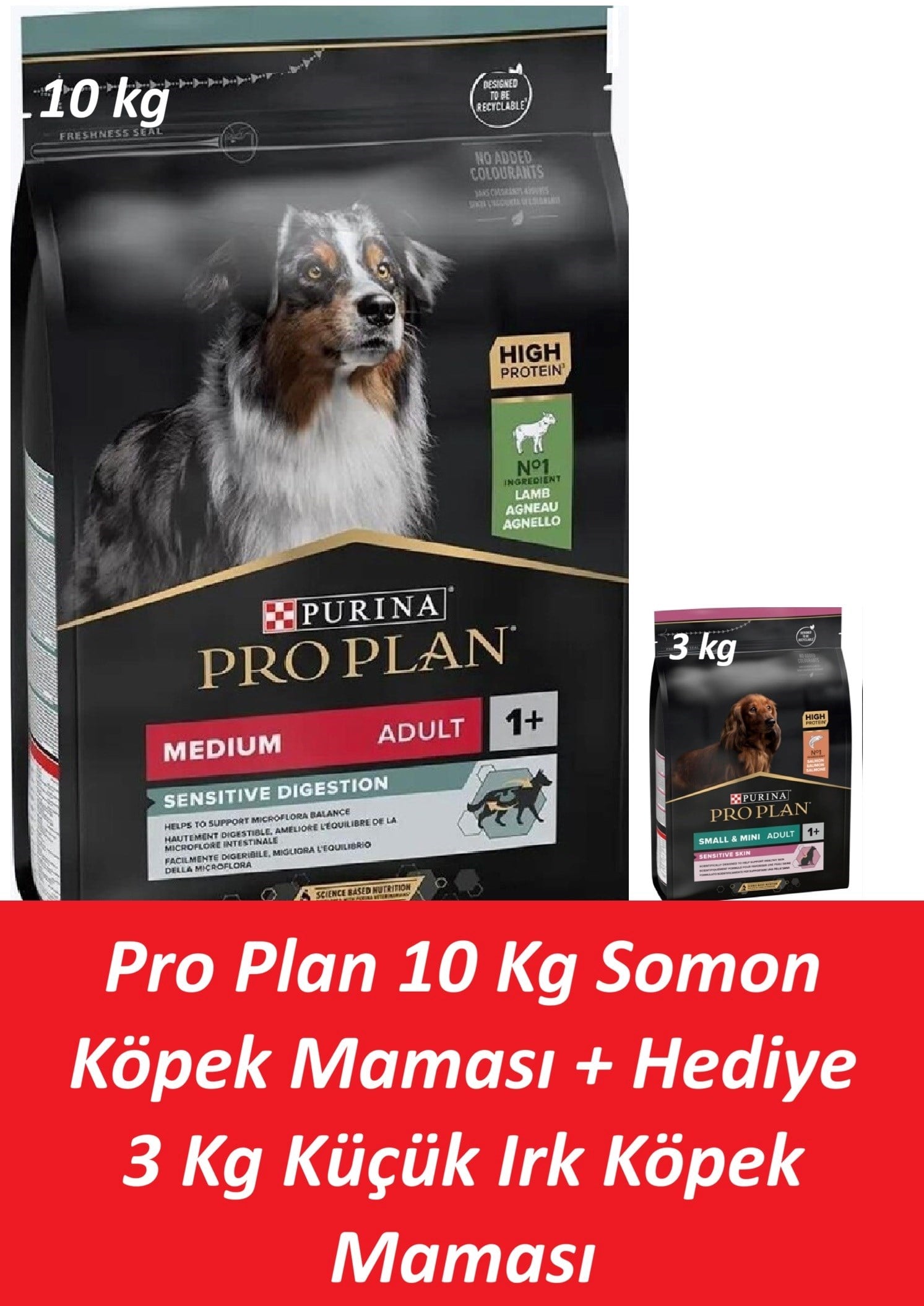 Pro Plan 10 Kg Somon Köpek Maması + Hediye 3 Kg Küçük Irk Köpek Maması
