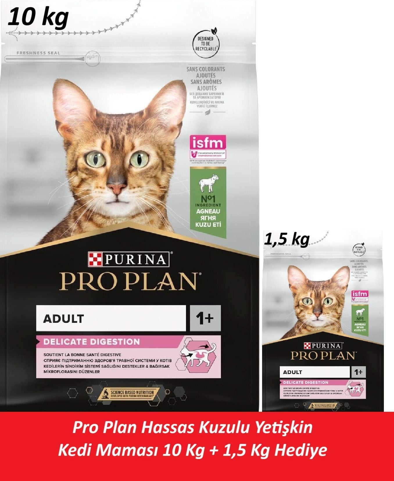 Pro Plan Hassas Kuzulu Yetişkin Kedi Maması 10 Kg + 1,5 Kg Hediye