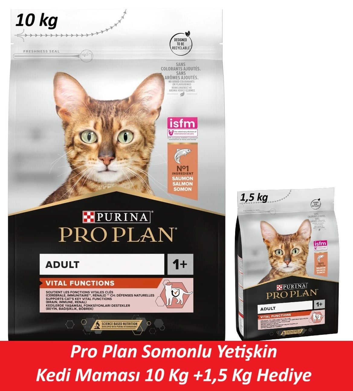 Pro Plan Somonlu Yetişkin Kedi Maması 10 Kg + 1,5 Kg Hediye