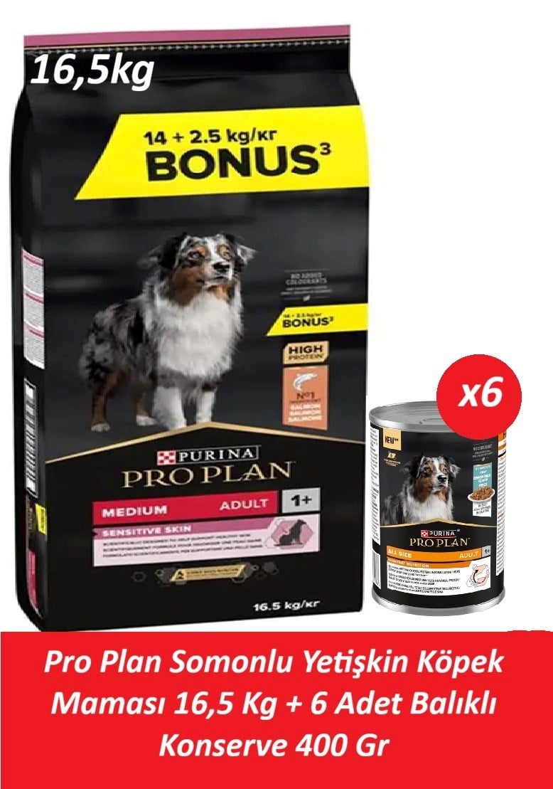 Pro Plan Somonlu Yetişkin Köpek Maması 16,5 Kg + 6 Adet Balıklı Konserve 400 Gr