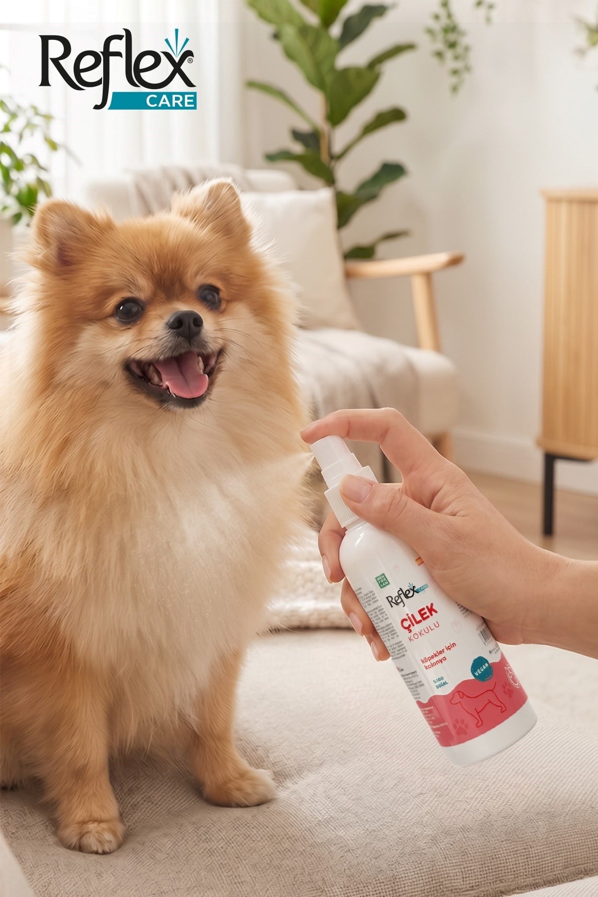 Reflex Care Çilek Kokulu Köpek Kolonyası 125 ml