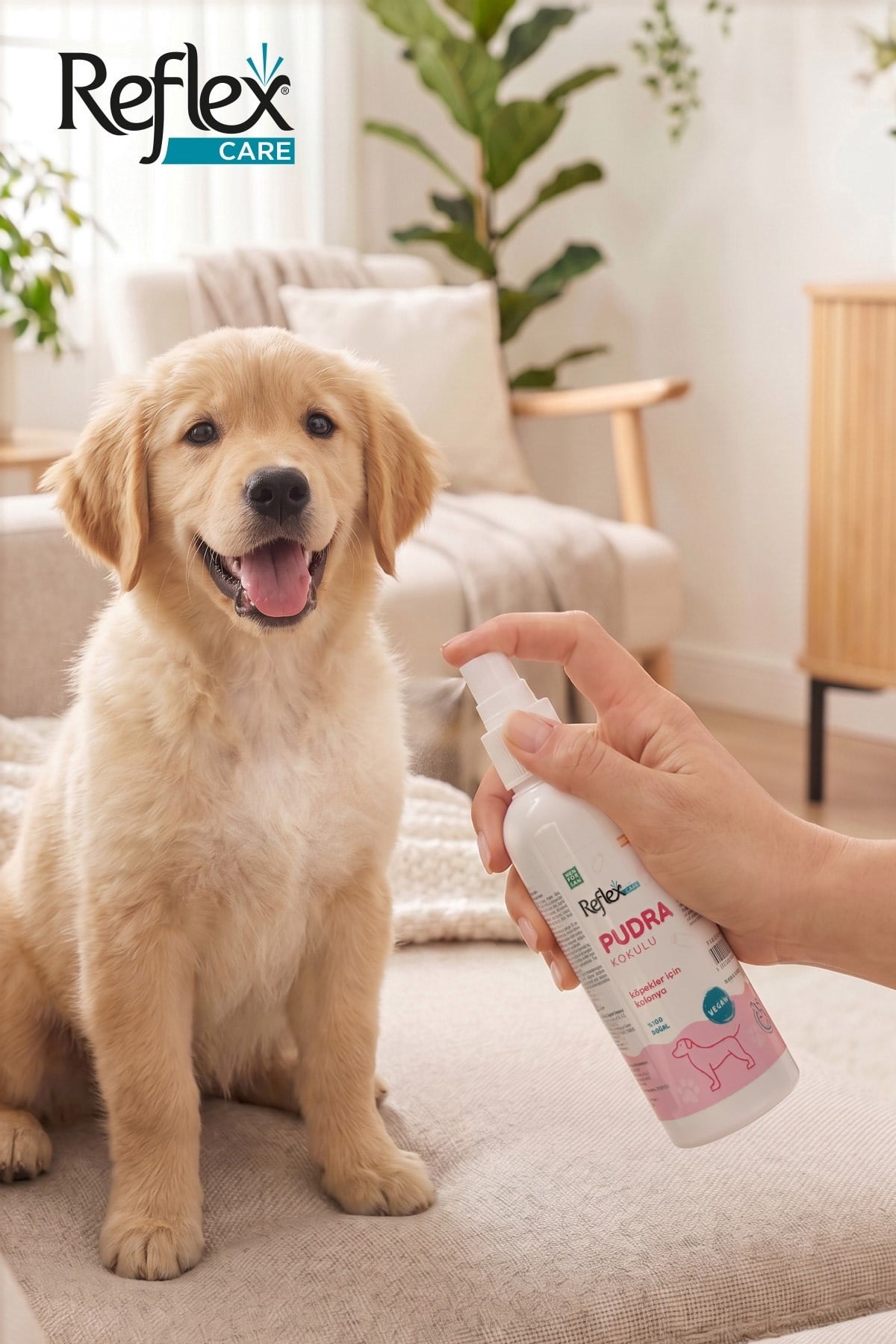 Reflex Care Pudra Kokulu Köpek Kolonyası 125 ml