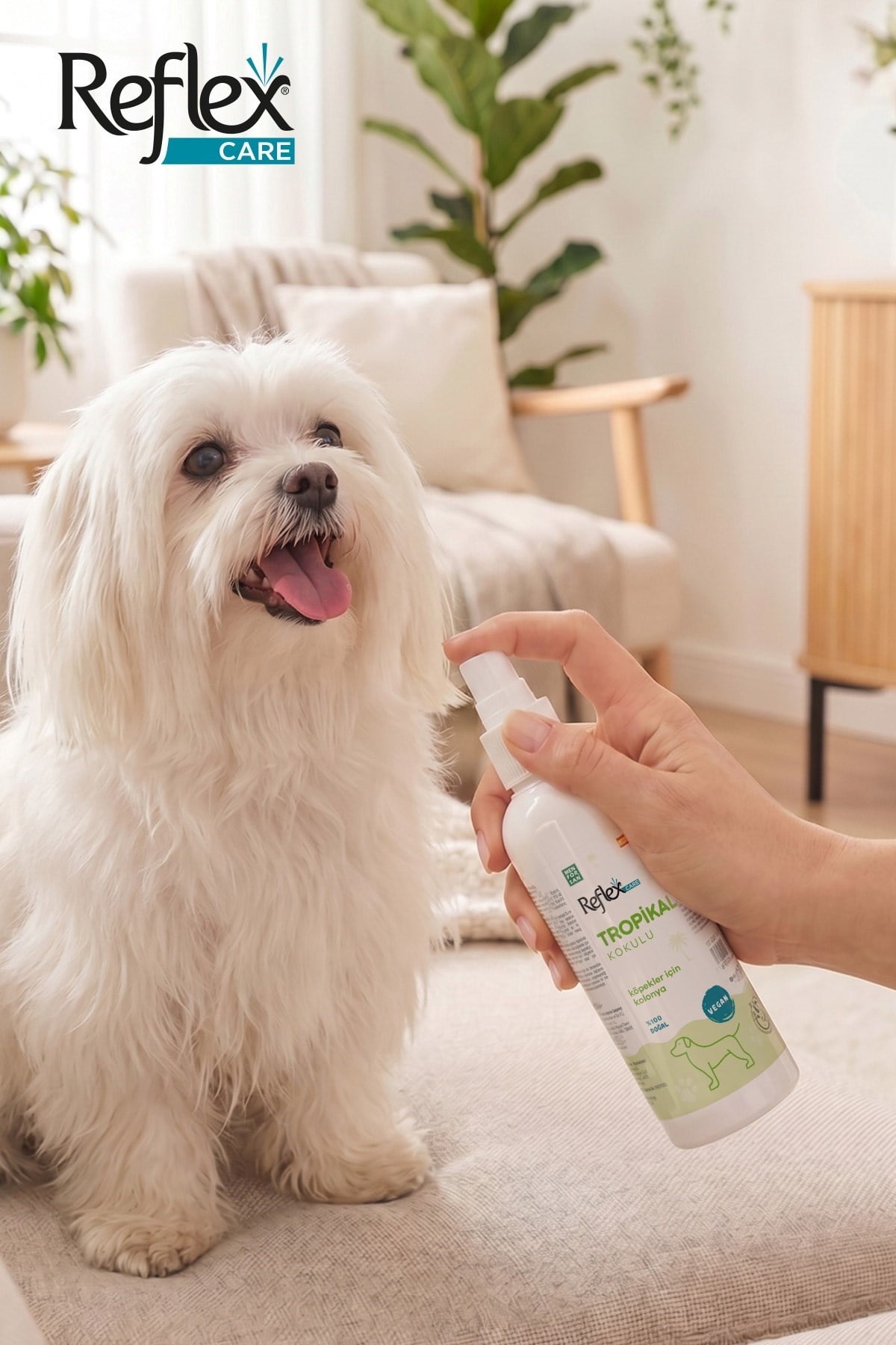 Reflex Care Tropikal Kokulu Köpek Kolonyası 125 ml