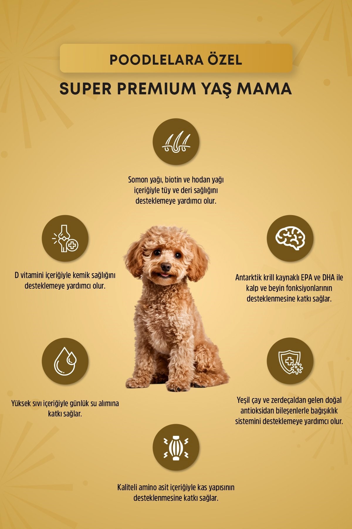 Reflex Plus Poodle Yetişkin Köpek Pouch Mama 85 Gr x 24 Adet