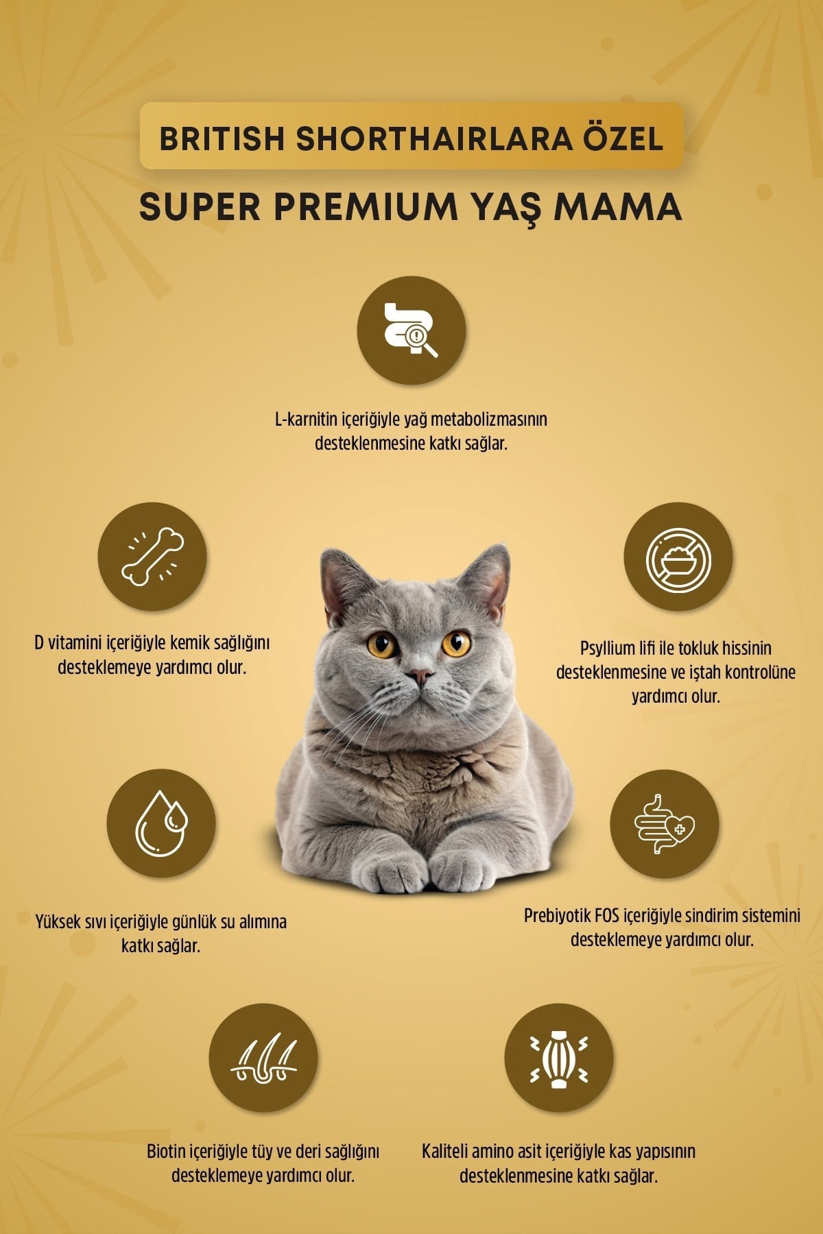 Reflex Plus Pounch  British Shorthair Sos İçinde Et Parçacıklı Yetişkin Kedi Maması 85 gr 12li set