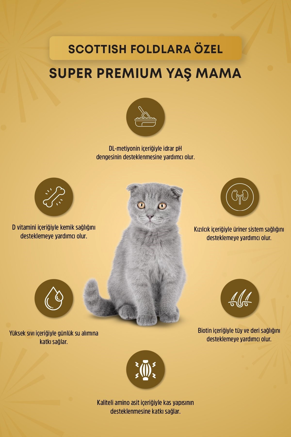 Reflex Plus Pounch Scottish Fold Sos İçinde Et parçacıklı Yetişkin Kedi Maması 85 Gr*24lü