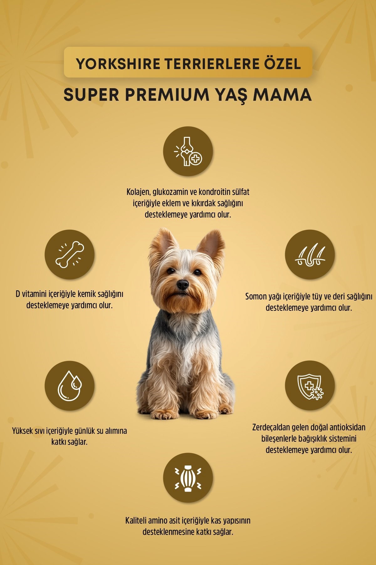 Reflex Plus Pounch Yorkshire Terrier J. Health Pate Yetiş. Köpek Maması 85 gr*24lü
