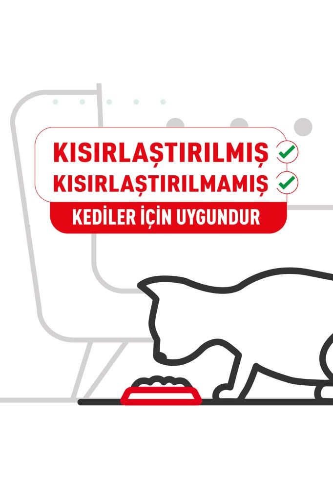 Royal Canin Fussy Exigent Seçici Yetişkin Kedi Maması 4 Kg
