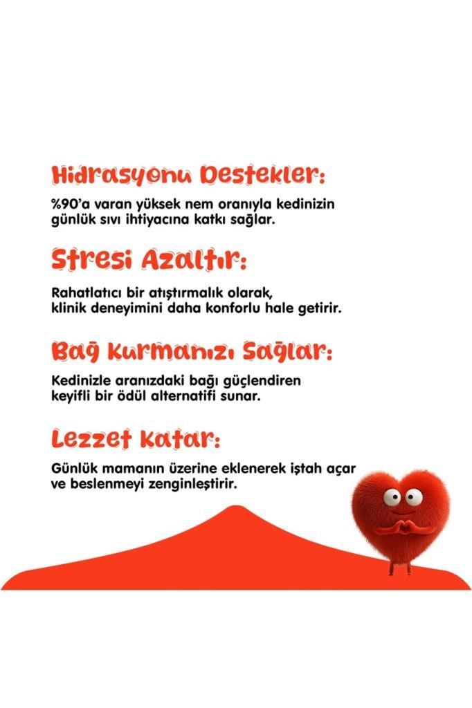 Wanpy Karışık 4 Lezzetli Krema Kedi Ödülü 50x14 Gr