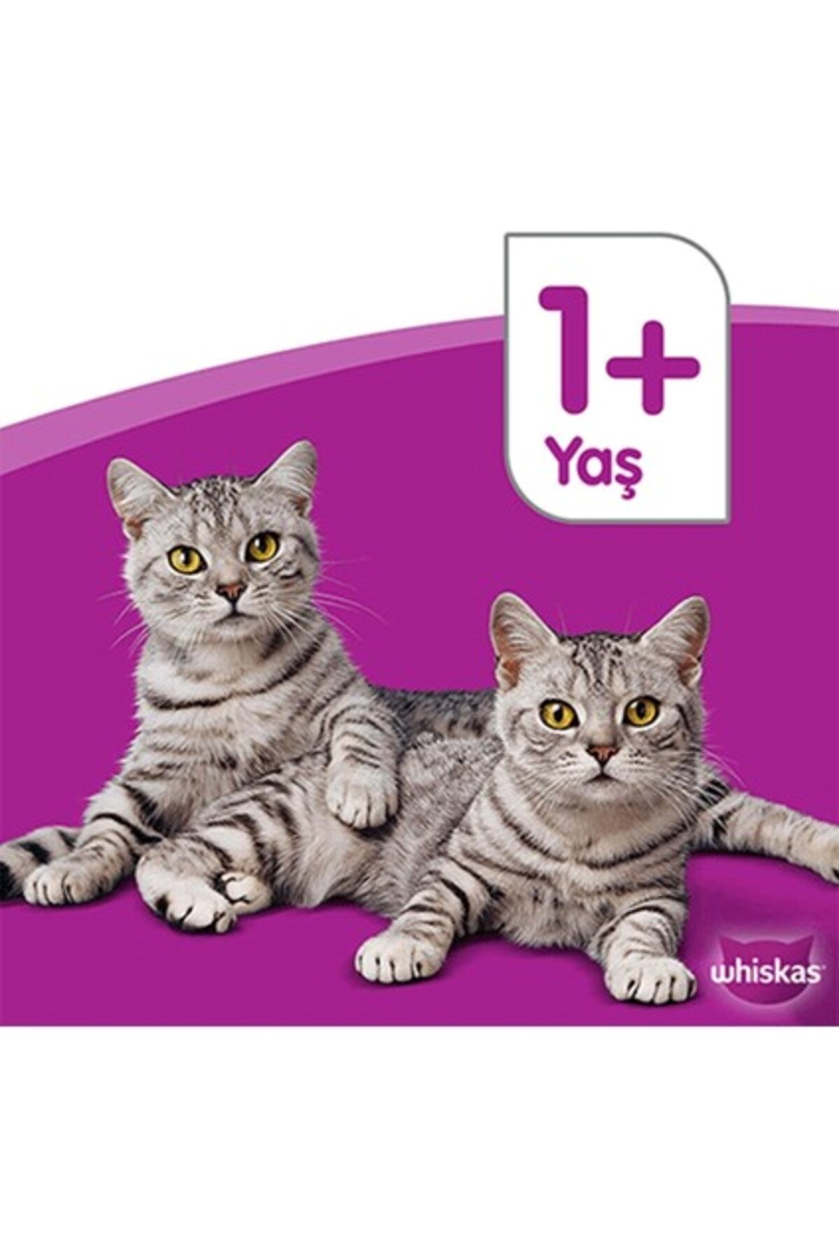 Whiskas Ton Balıklı Kedi Maması 85 gr 24x