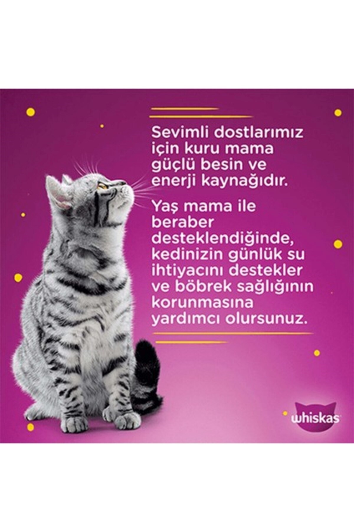 Whiskas Ton Balıklı Kedi Maması 85 gr 24x
