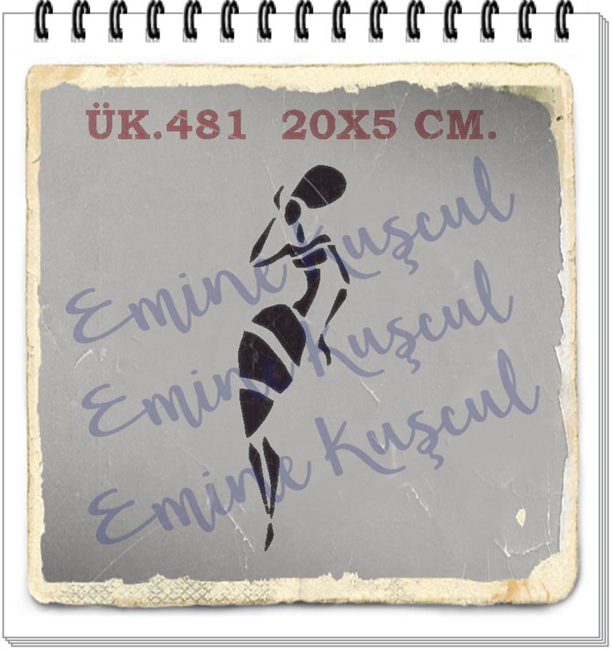 481 Afrikalı Kadın