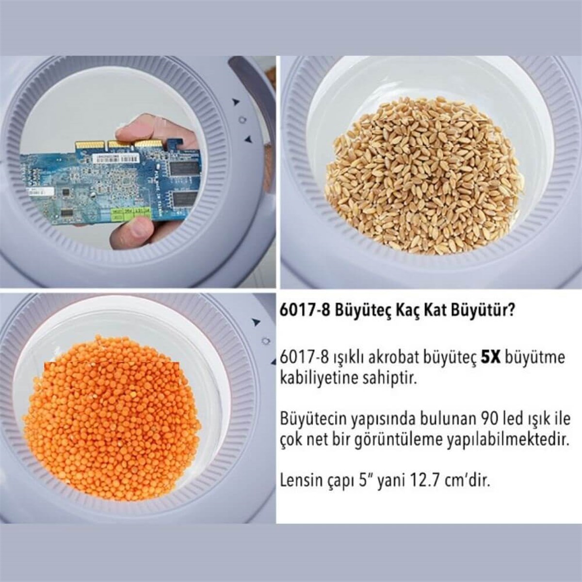 6017-8 Ayaklı ve Masaüstü Ayarlanabilir Işıklı Büyüteç (5X) | zoofarm.com.tr6017-8 Ayaklı ve Masaüstü Ayarlanabilir Işıklı Büyüteç (5X) TÜM ÖLÇÜM CİHAZLARILOYKA zoofarm