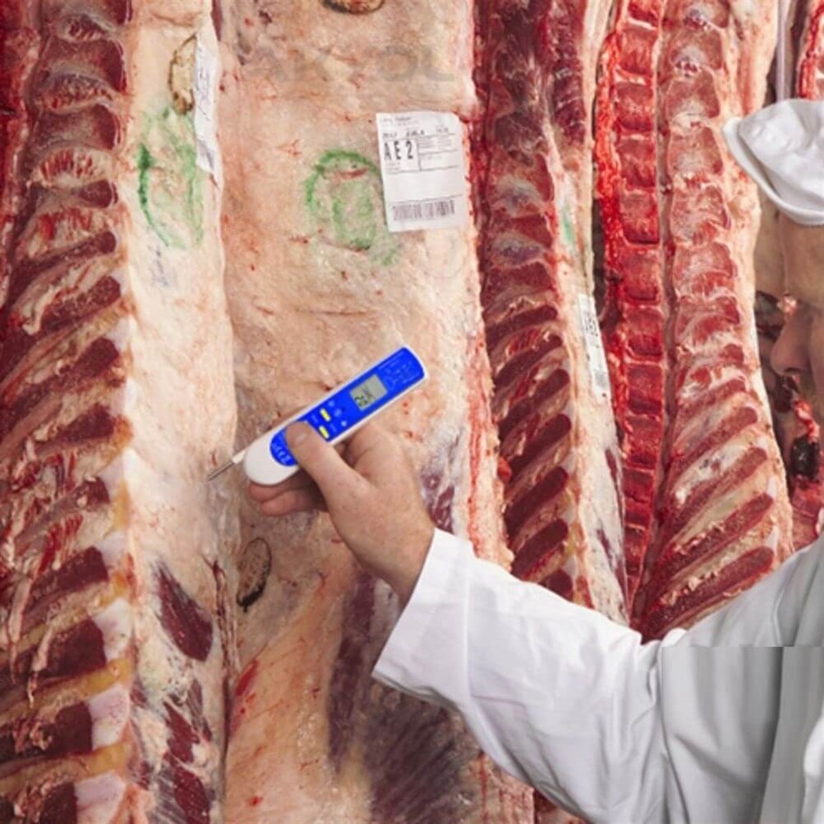 AMT 206 Lazerli ve Daldırma Problu Gıda Termometresi | zoofarm.com.trAMT 206 Lazerli ve Daldırma Problu Gıda Termometresi TÜM ÖLÇÜM CİHAZLARILOYKA zoofarm