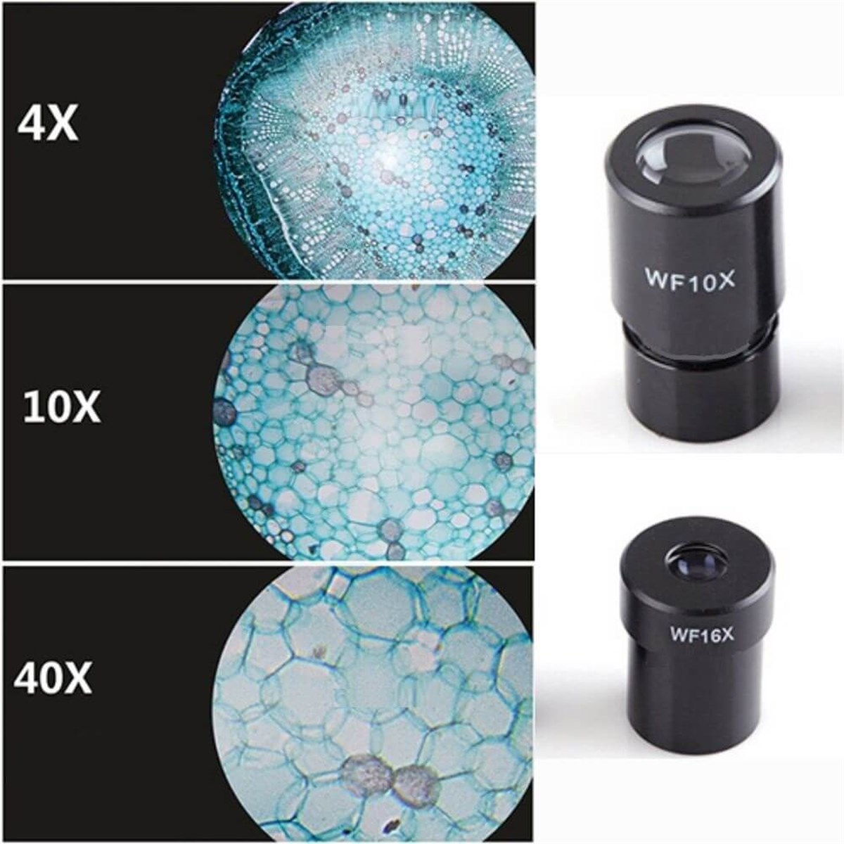 Monoküler Öğrenci Mikroskop (400x-640x) | zoofarm.com.trMonoküler Öğrenci Mikroskop (400x-640x) TÜM ÖLÇÜM CİHAZLARILOYKA zoofarm