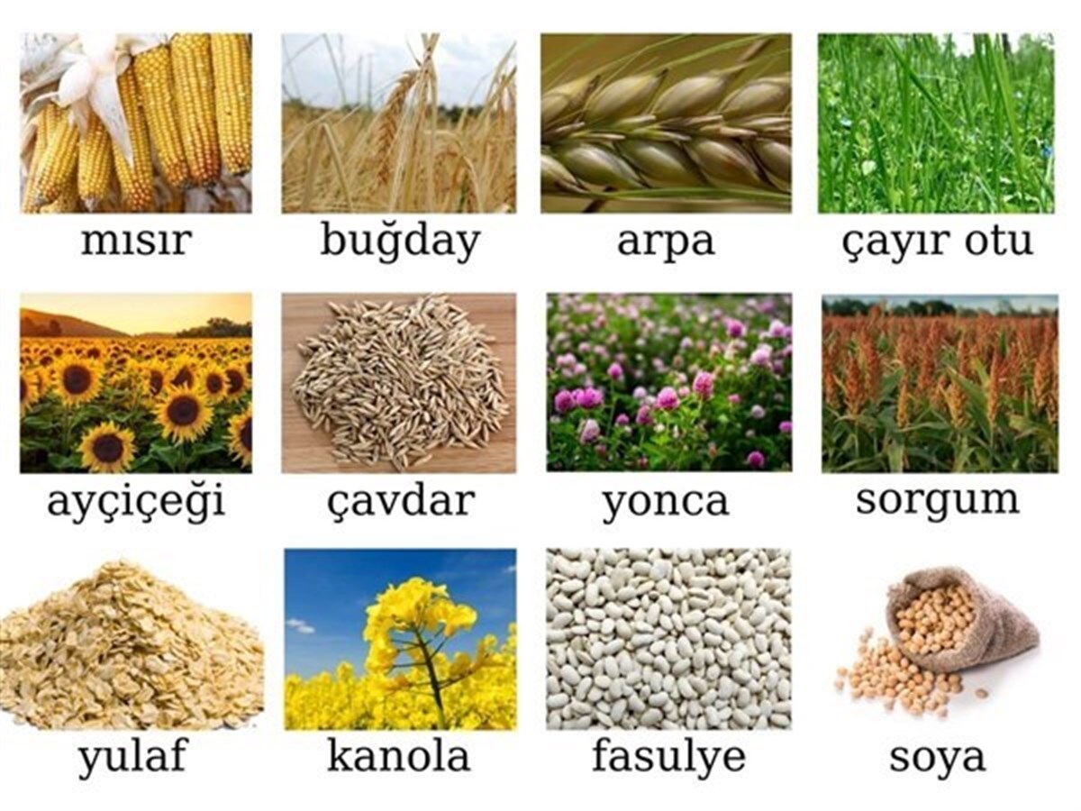 WİLE 65 TAHIL SICAKLIK VE NEM ÖLÇER | zoofarm.com.tr WİLE 65 TAHIL SICAKLIK VE NEM ÖLÇER YEM KIRMA MAKİNASI ÖLÇÜM CİHAZLARIWİLE zoofarm