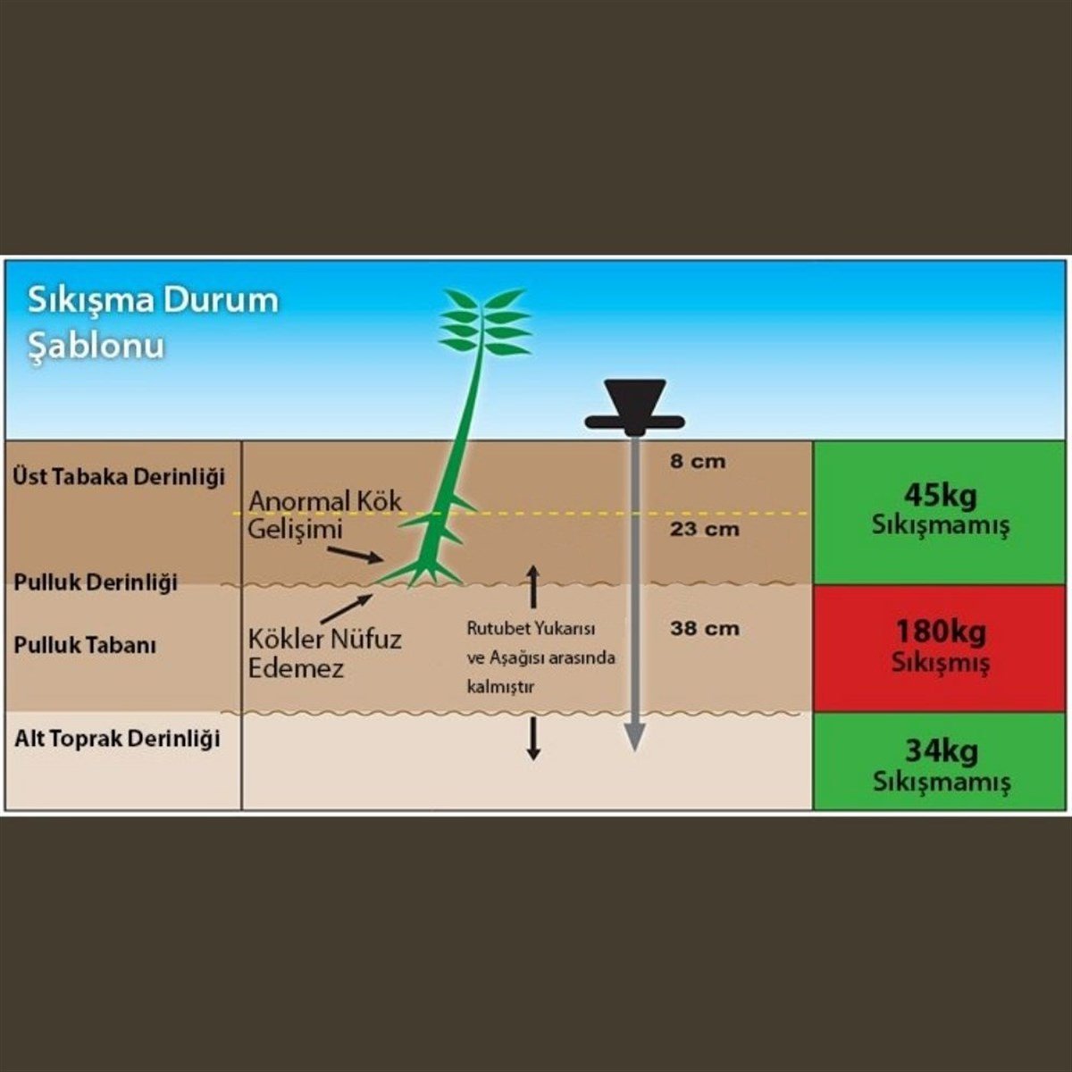 Wile Toprak Sıkışıklılık Ölçüm Aleti Penetrometre | zoofarm.com.trWile Toprak Sıkışıklılık Ölçüm Aleti Penetrometre TÜM ÖLÇÜM CİHAZLARIWİLE zoofarm
