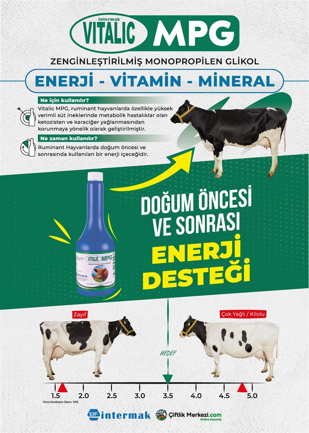 Yem Katkı ÜrünleriVitalicVITALIC MPG 500VITALIC MPG