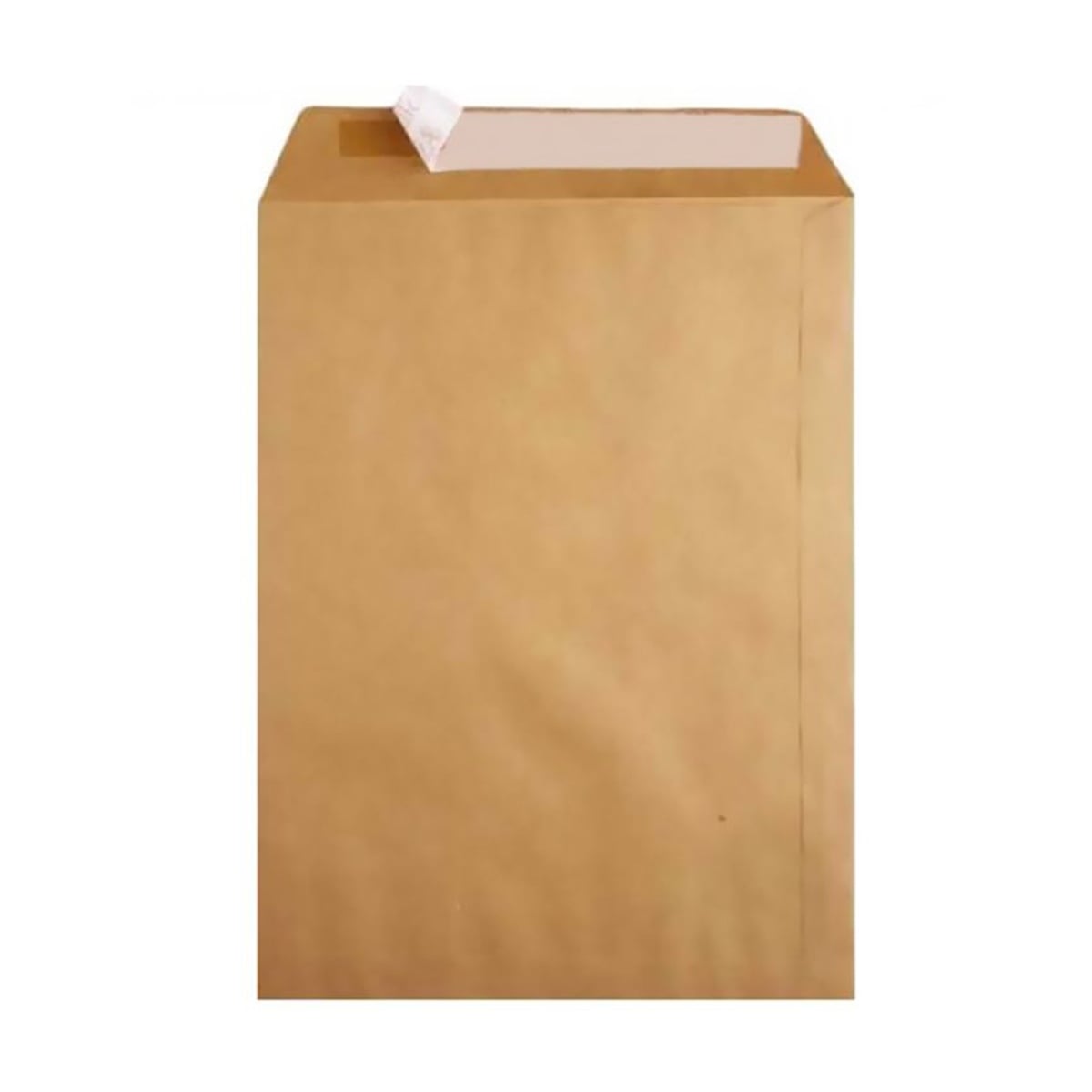 Oyal zarf torba formula 100 gr 30x40 (natura)