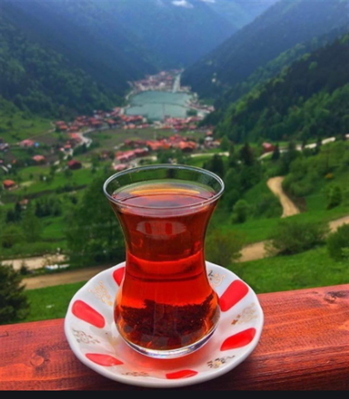 Çaykur Rize Turist Çayı Dökme Siyah Çay 1 Kg