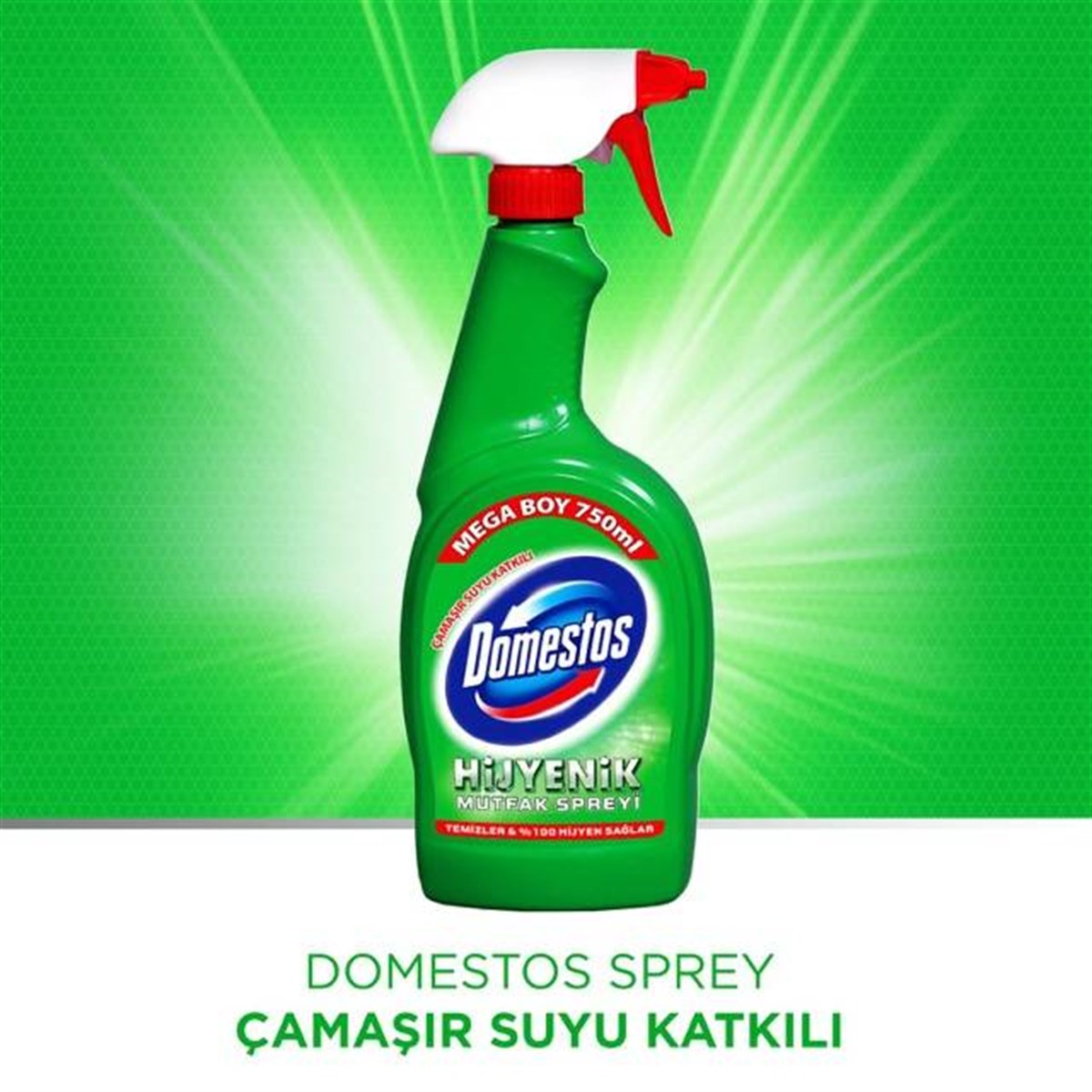 Domestos Hijyenik Mutfak Spreyi Çamaşır Suyu Katkılı 750 ml