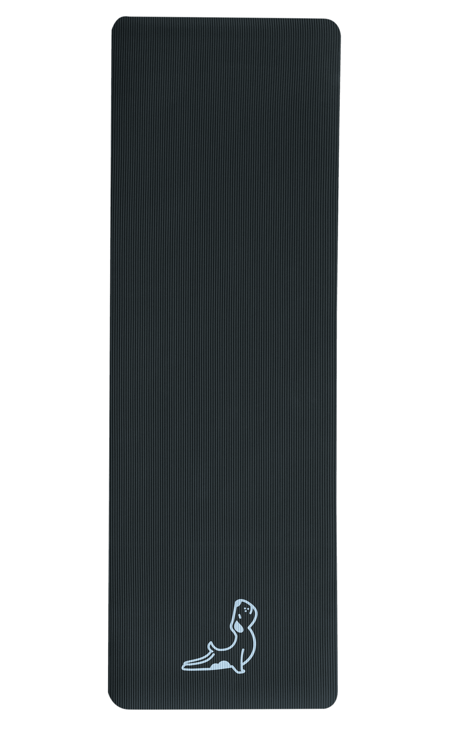 Petarya Comfort Series 10 mm Siyah NBR Egzersiz Matı
