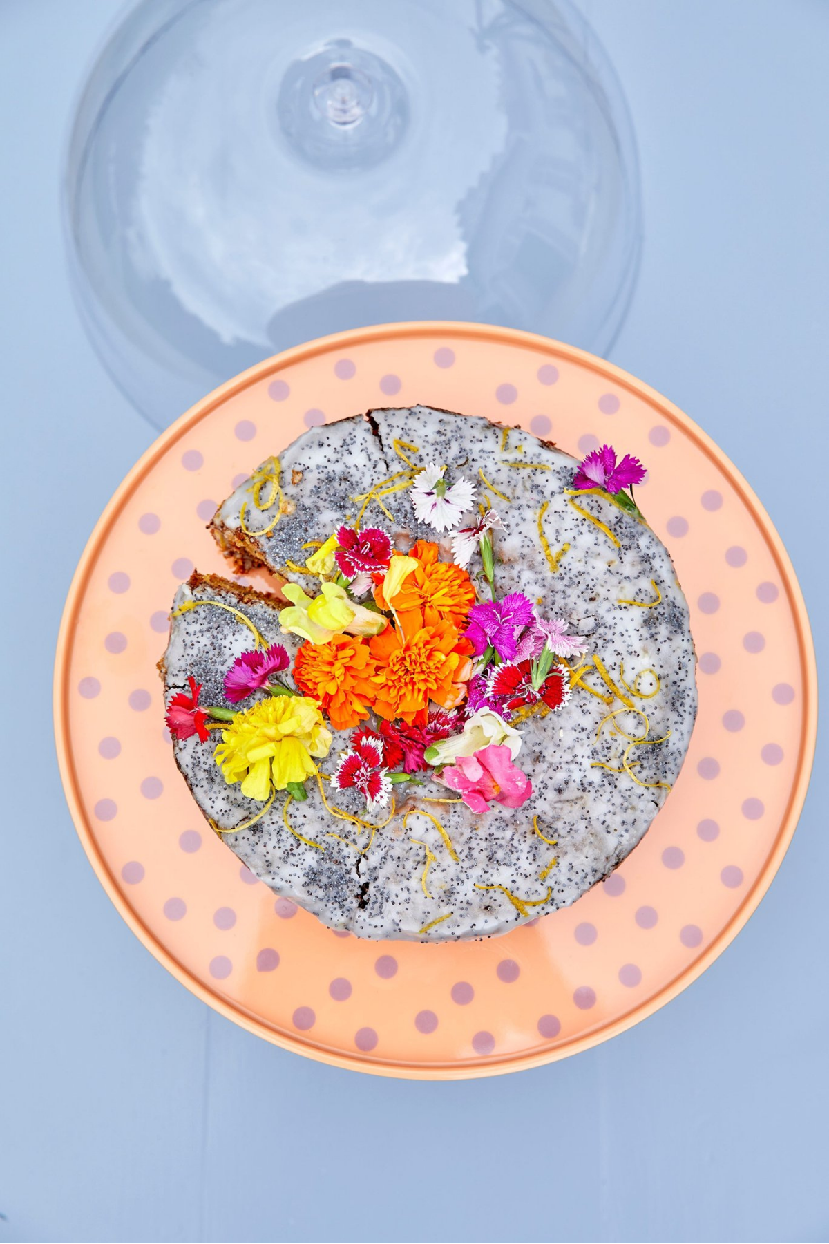 Rice Melamin Kek Standı - Kayısı, MECAK-DOT