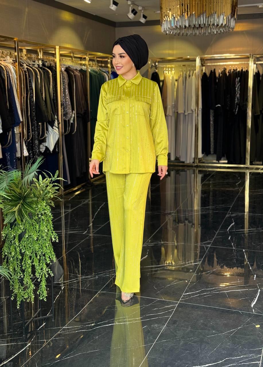 Safiye Başol Takım