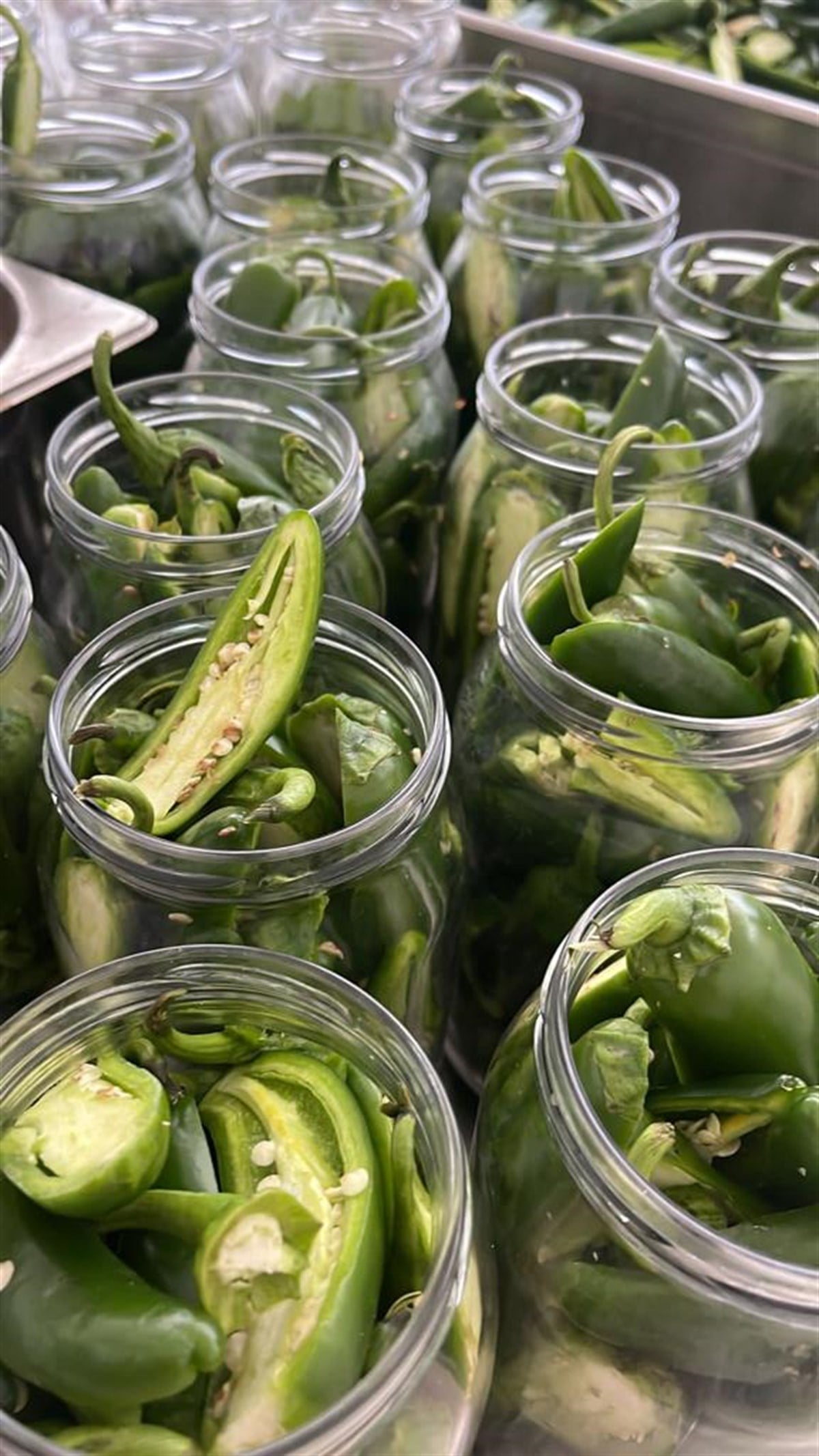 JALAPENO BİBER TURŞUSU