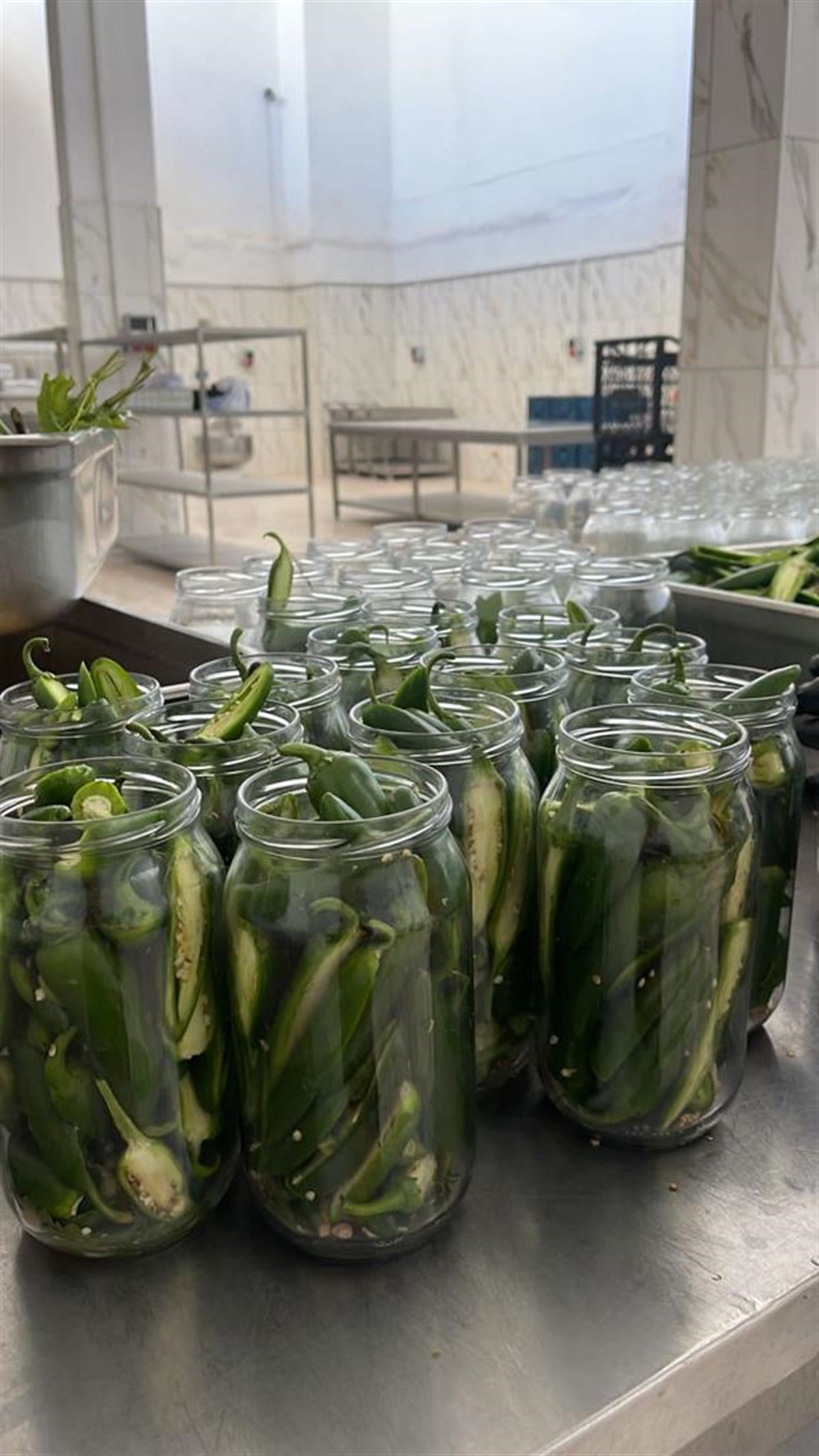 JALAPENO BİBER TURŞUSU