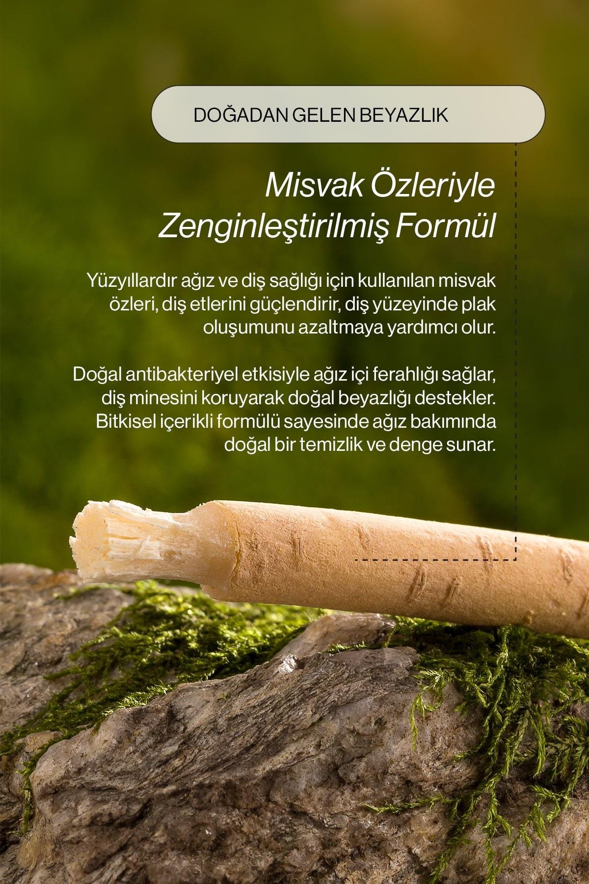 Misedor - Misedor Misdent Bitki İçerikli & Mineralli Diş Macunu 75 ml