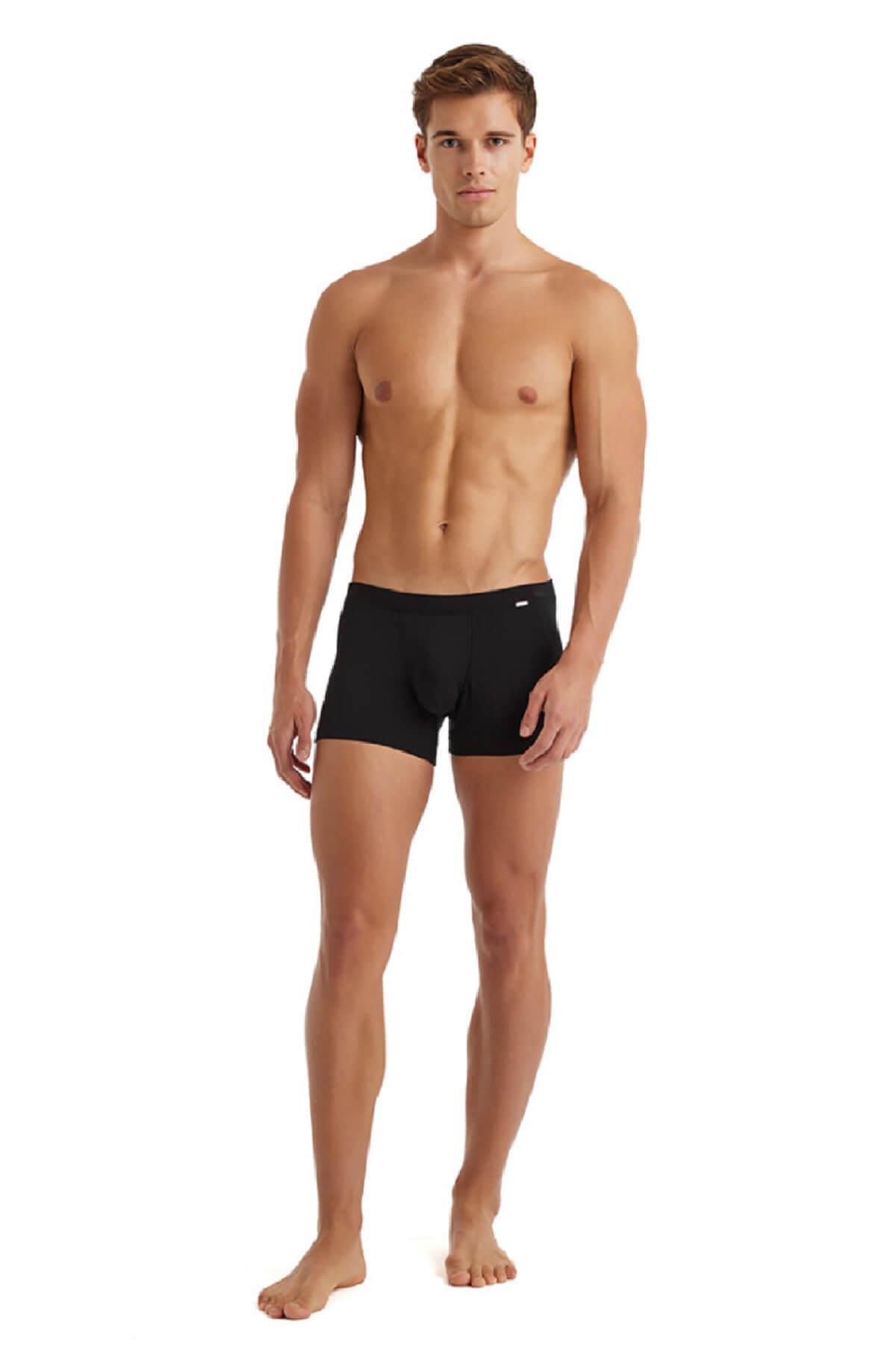 Blackspade 9310 Erkek %94 Modal Silver Boxer