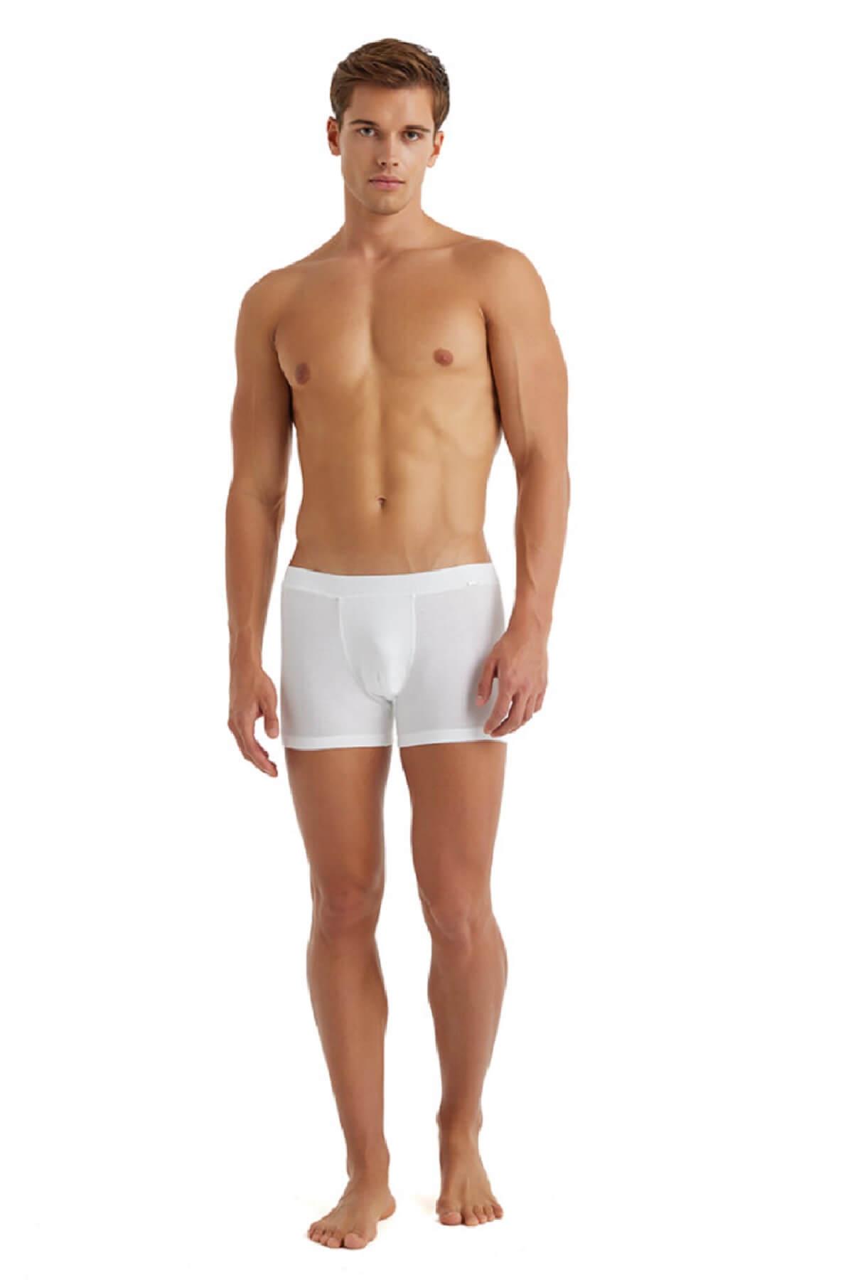 Blackspade 9310 Erkek %94 Modal Silver Boxer