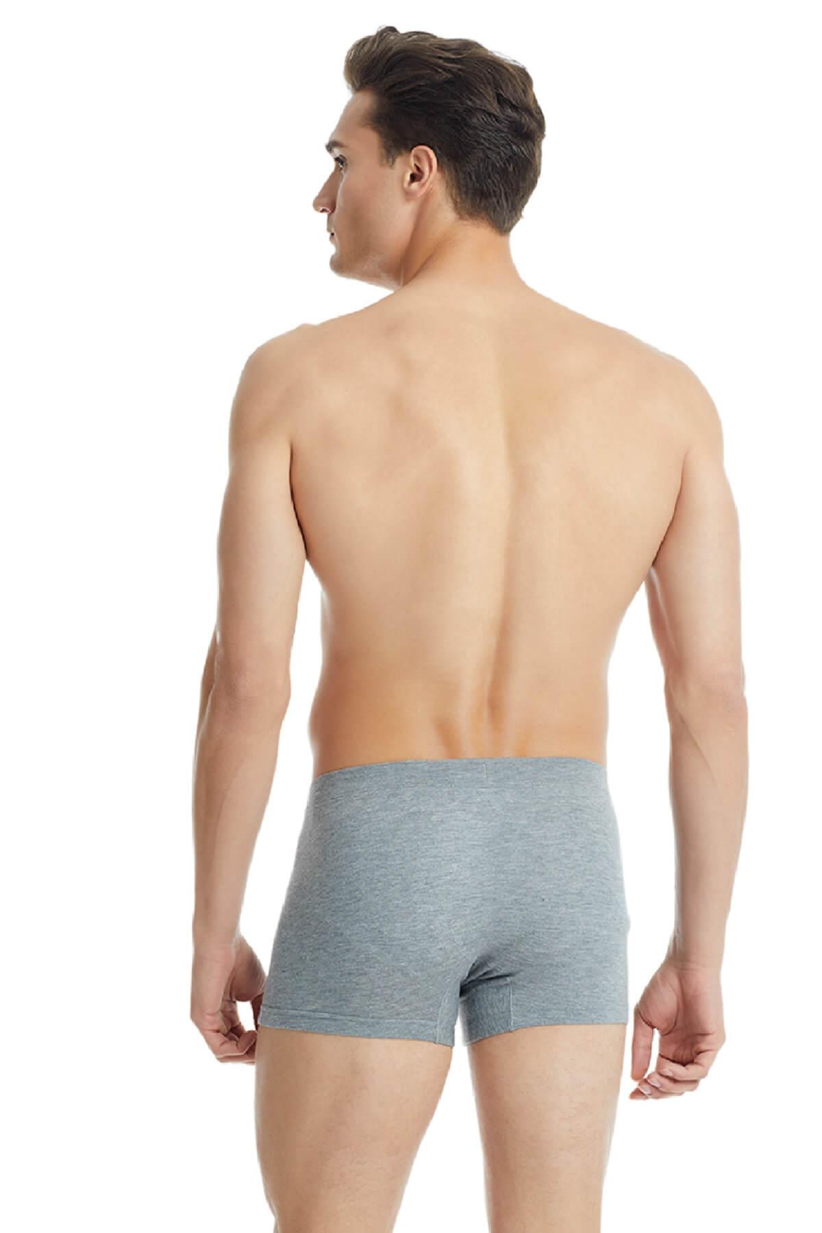 Blackspade 9310 Erkek %94 Modal Silver Boxer