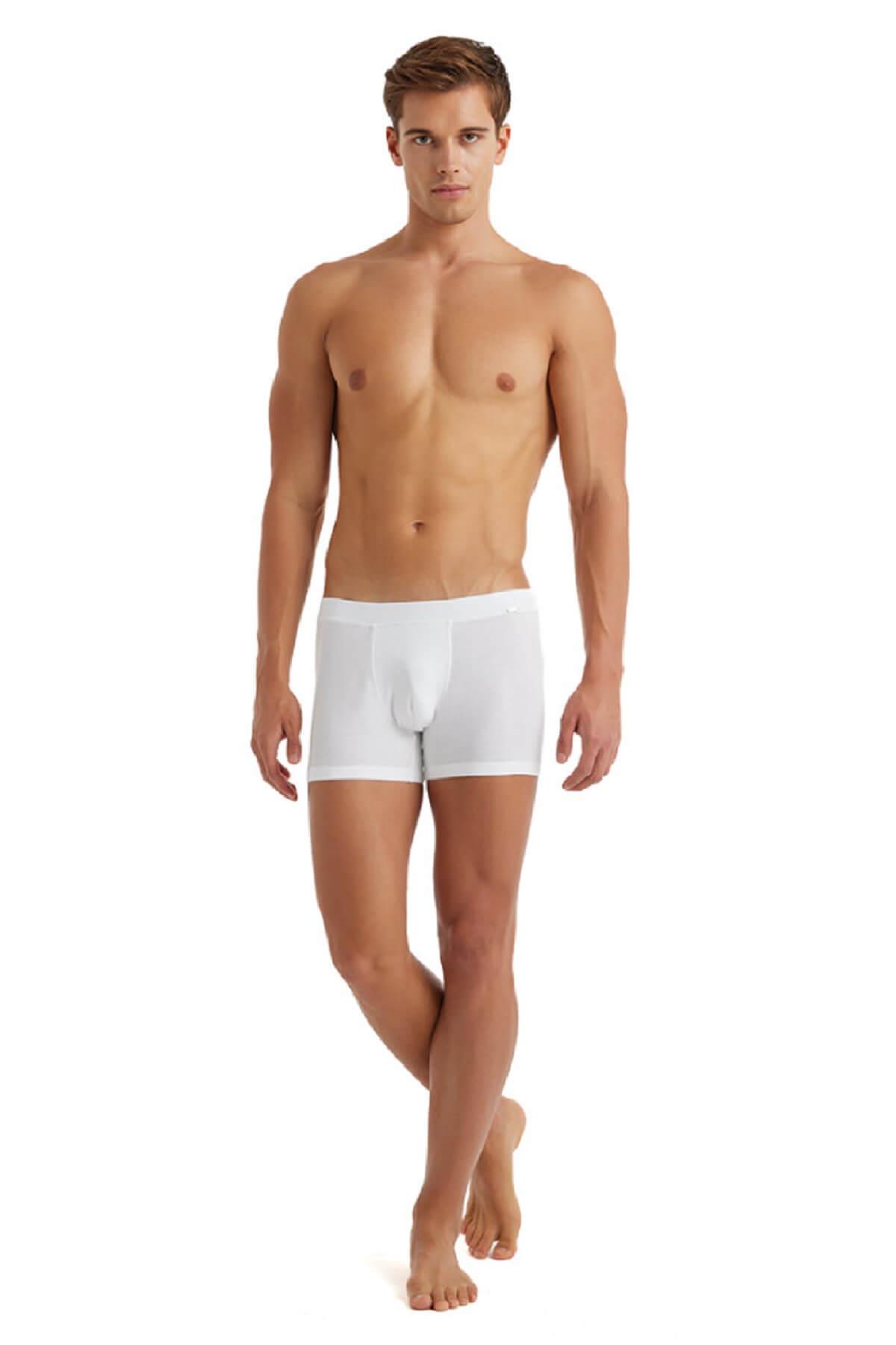 Blackspade 9310 Erkek %94 Modal Silver Boxer