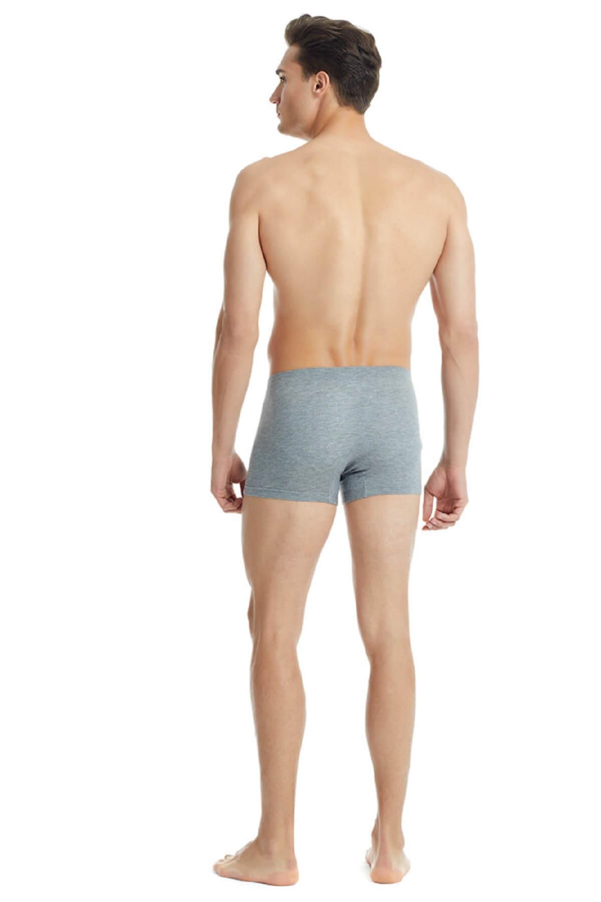 Blackspade 9310 Erkek %94 Modal Silver Boxer