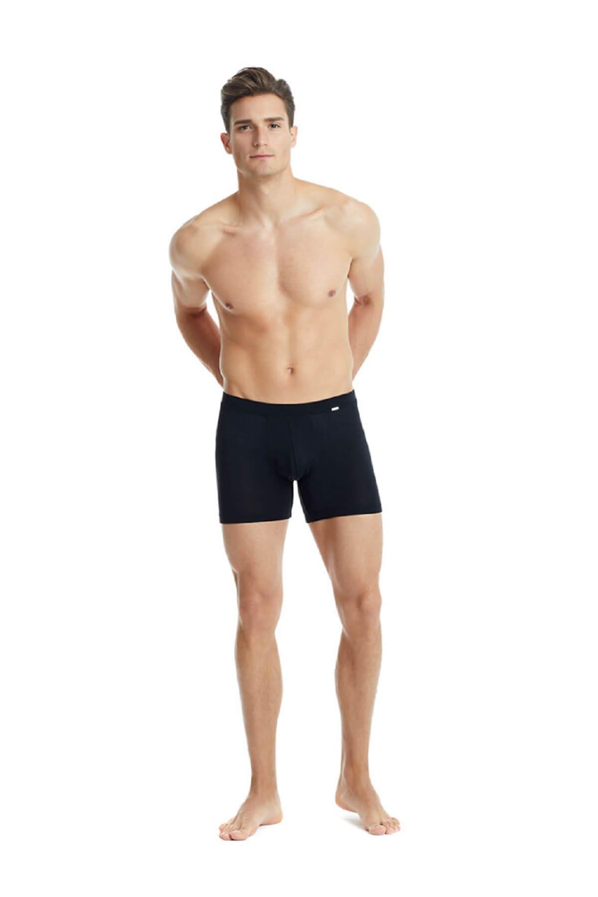 Blackspade 9313 Erkek %94 Modal Silver Uzun Boxer