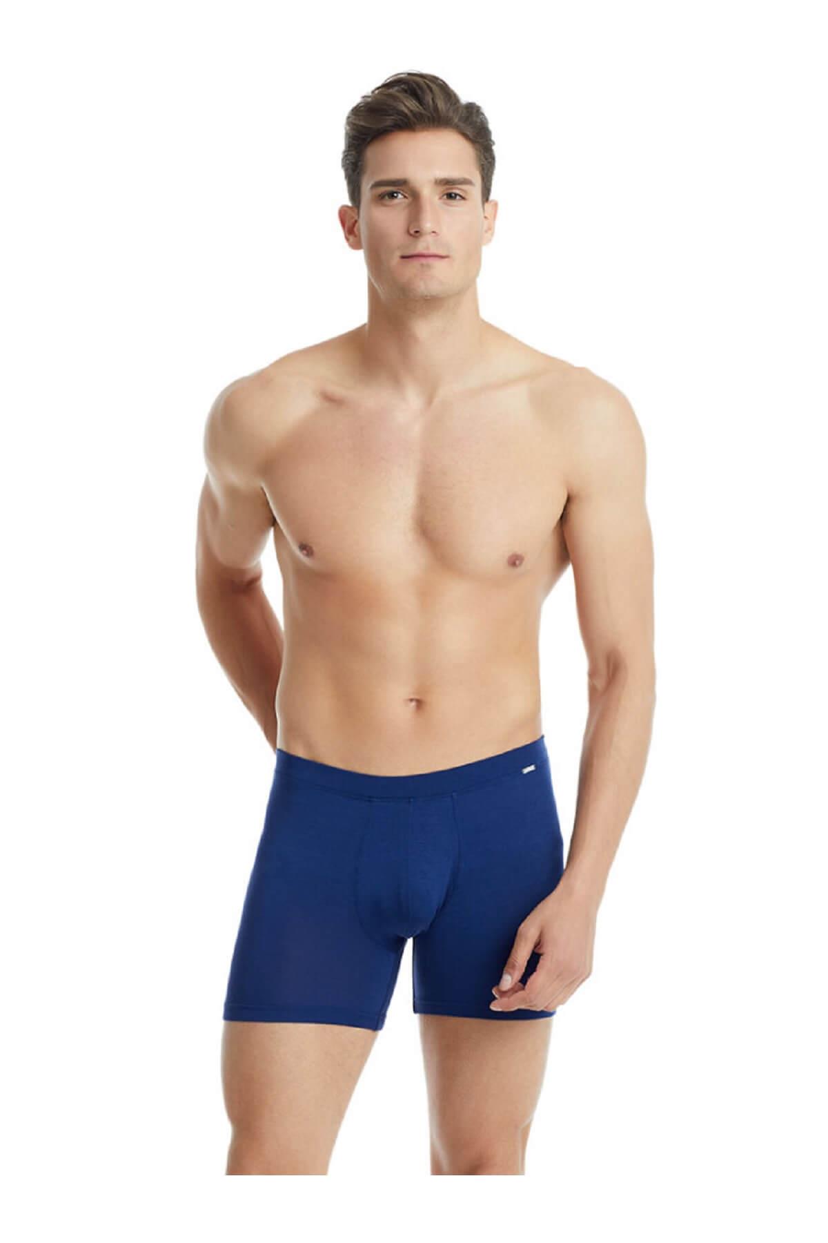 Blackspade 9313 Erkek %94 Modal Silver Uzun Boxer