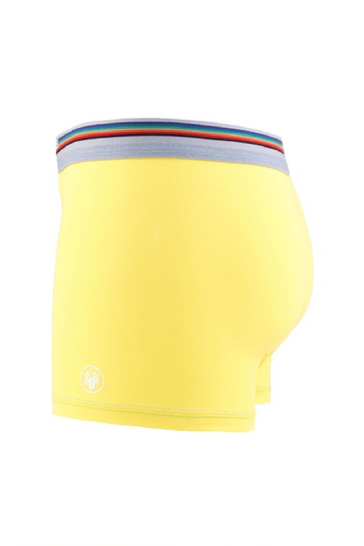 Blackspade 9550 Colours 2'li Paket %95 Pamuklu Erkek Renkli Boxer