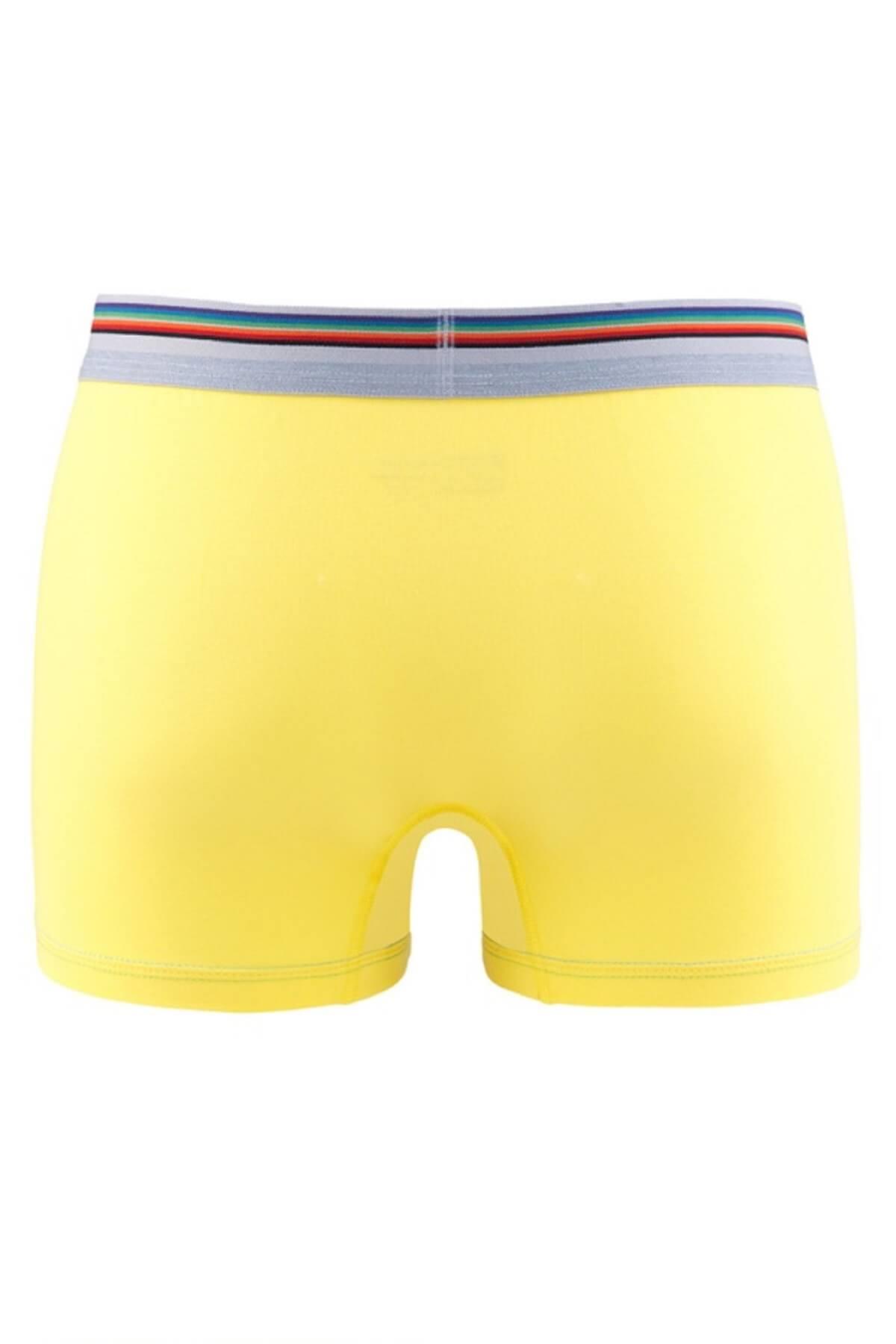 Blackspade 9550 Colours %95 Pamuklu Erkek Renkli Boxer