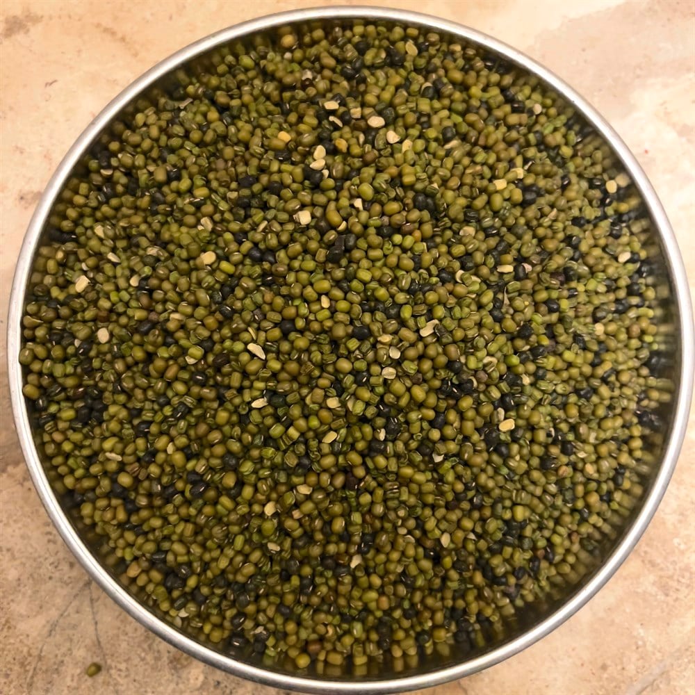 Maş Fasülye