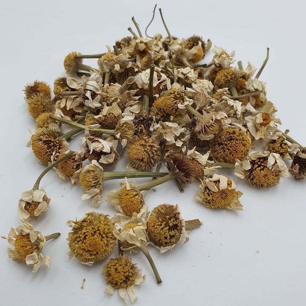 Papatya Çayı